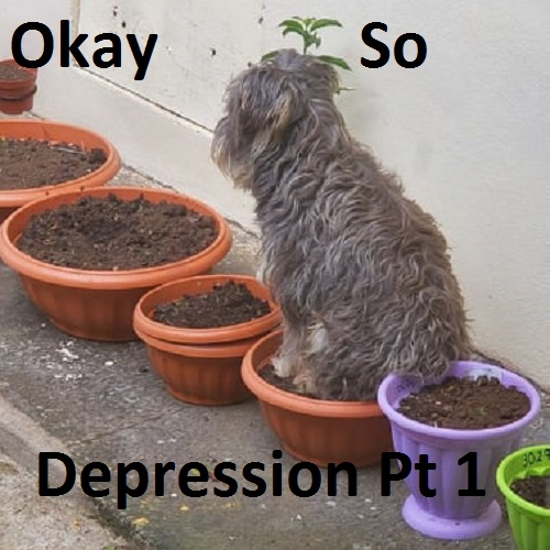 Okay, So..