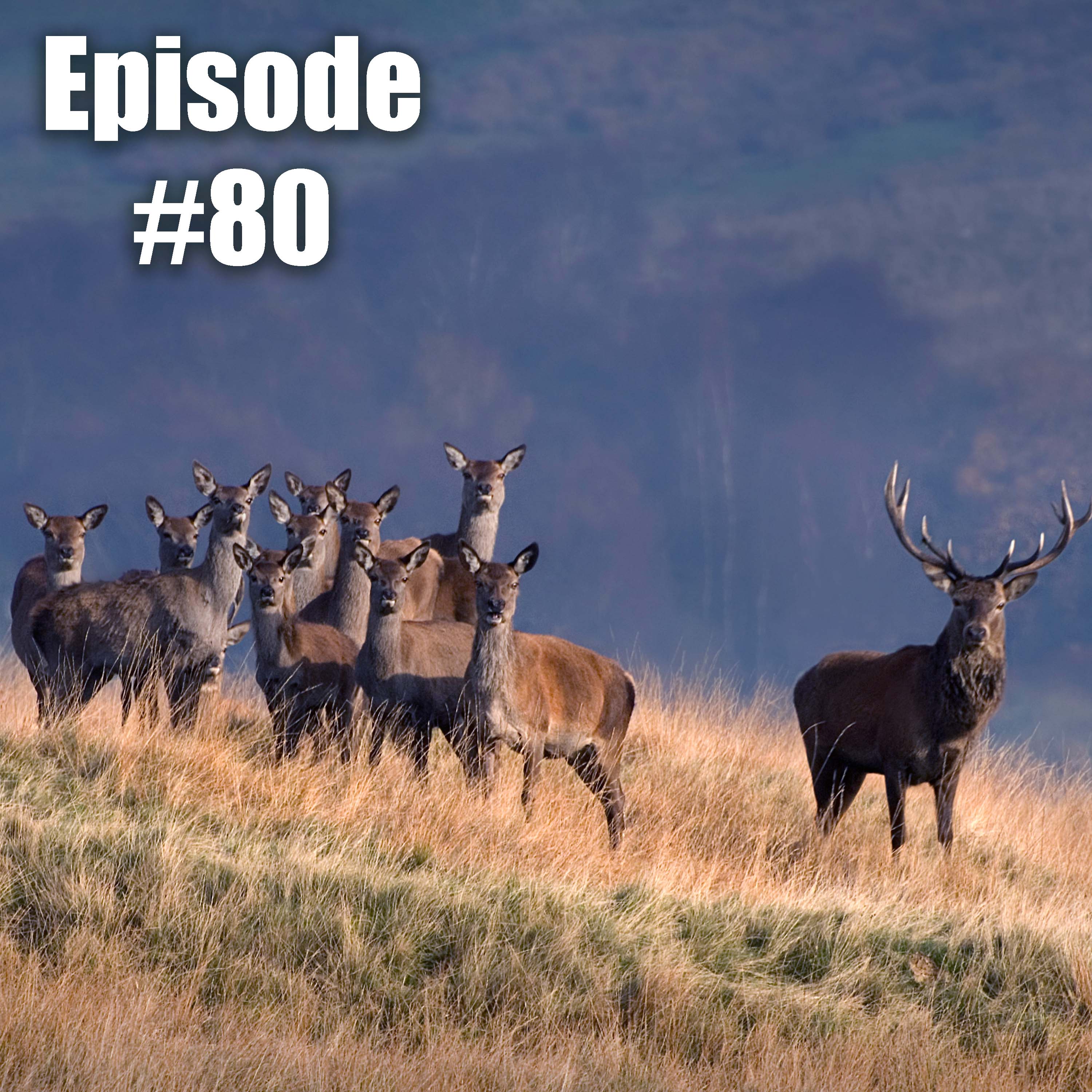 FieldsportsChannel\'s Podcast
