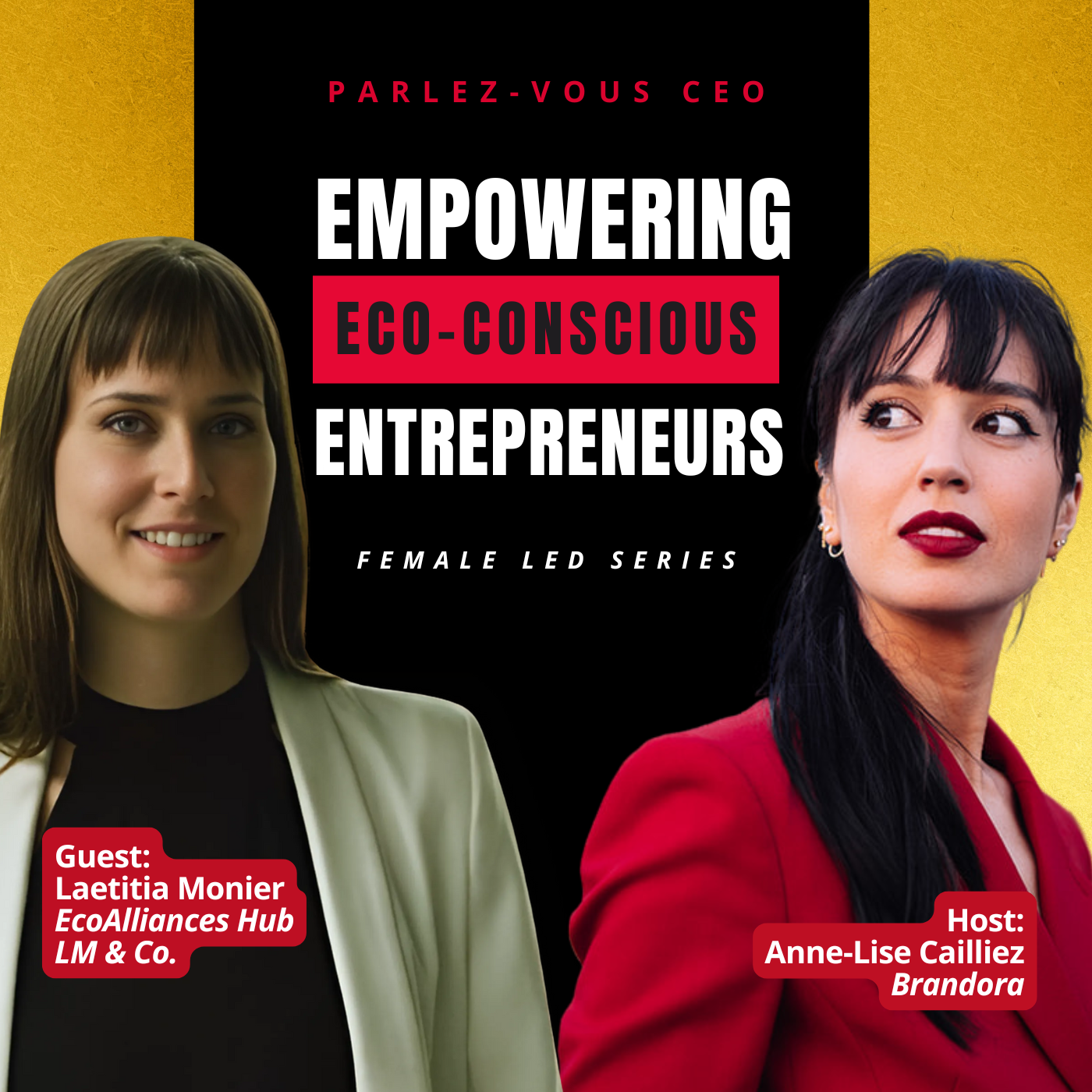 Parlez-Vous CEO