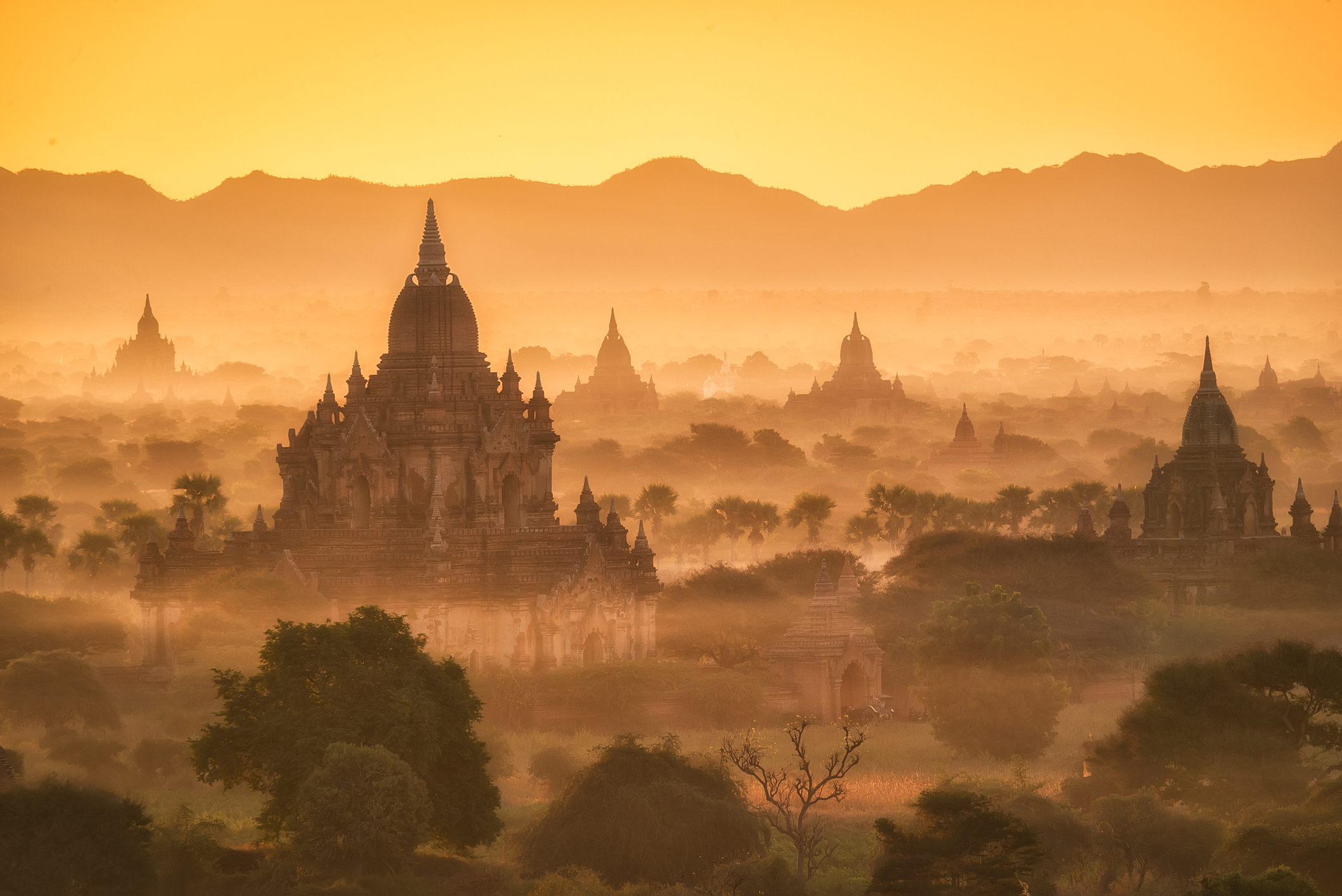 World Elephant Day 2017: Burma and the road to Humanity