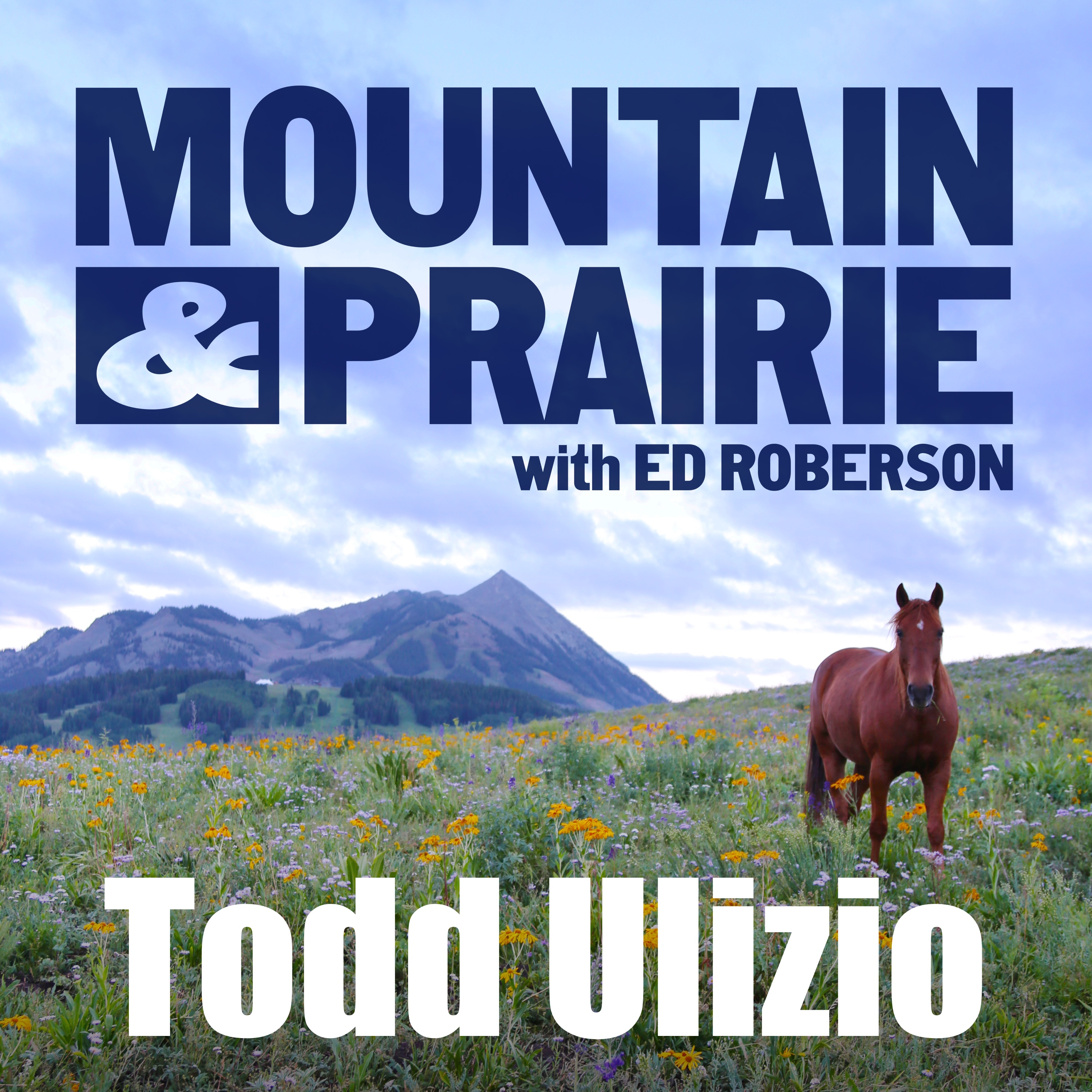 Todd Ulizio – Farming, Attention, and a Life Well Rooted