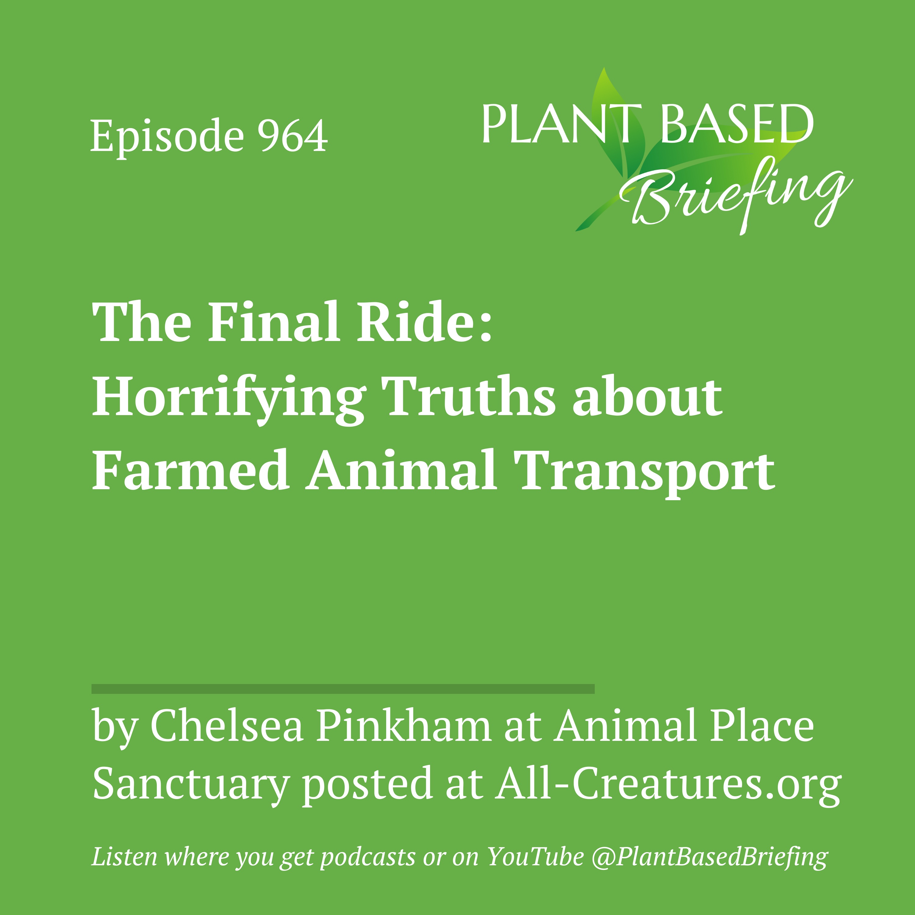 964: The Final Ride: Horrifying Truths about Farmed Animal Transport by Chelsea Pinkham at All-Creatures.org