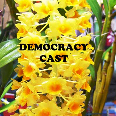 Democratic Socialist Candidate For Congress Sarah Smith episode artwork