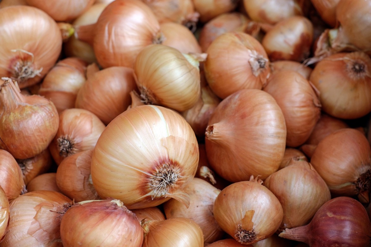Episode 128 - Peel The Onion