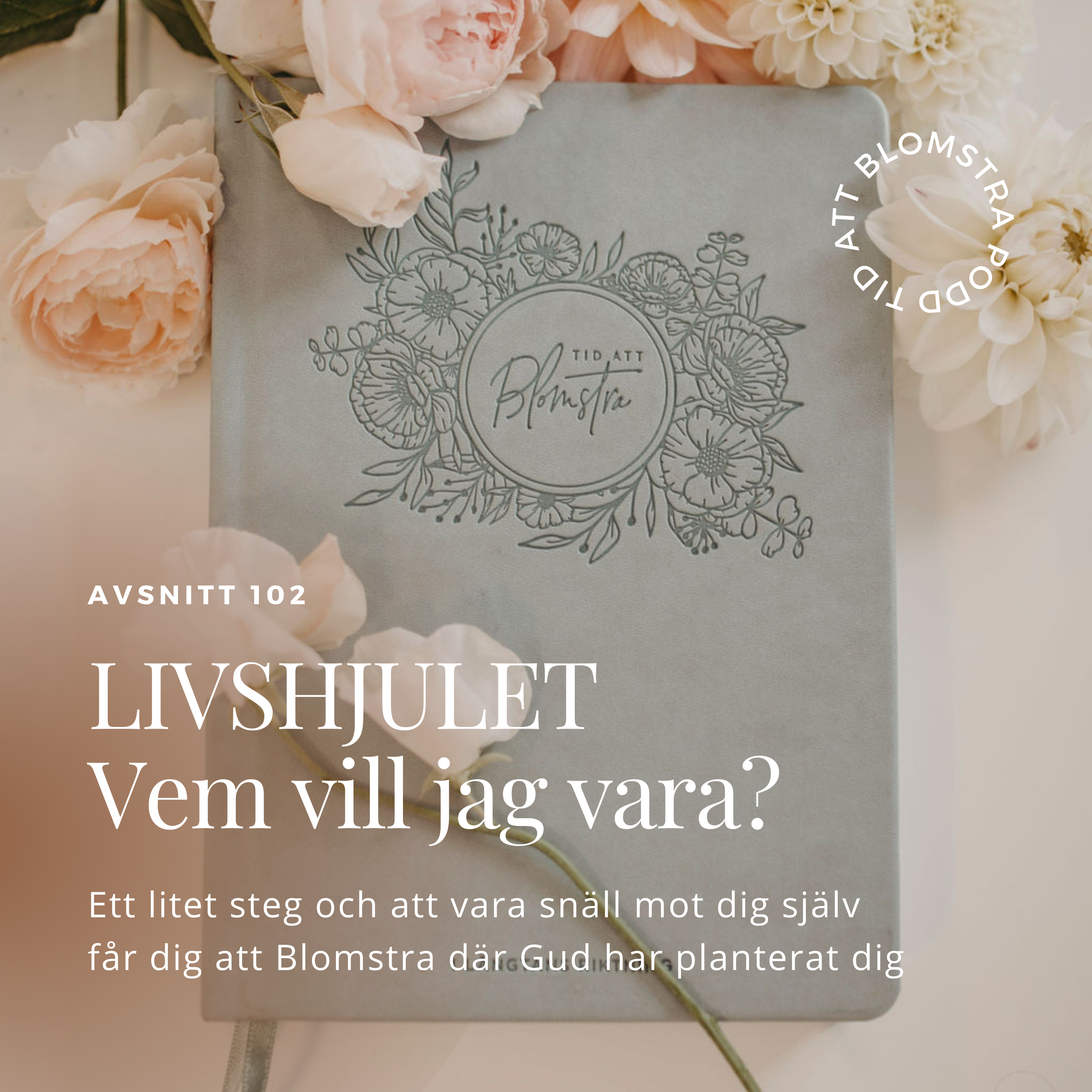 MOMENTUM – vision till verklighet, transformerande ledarskap och frihetsföretagande