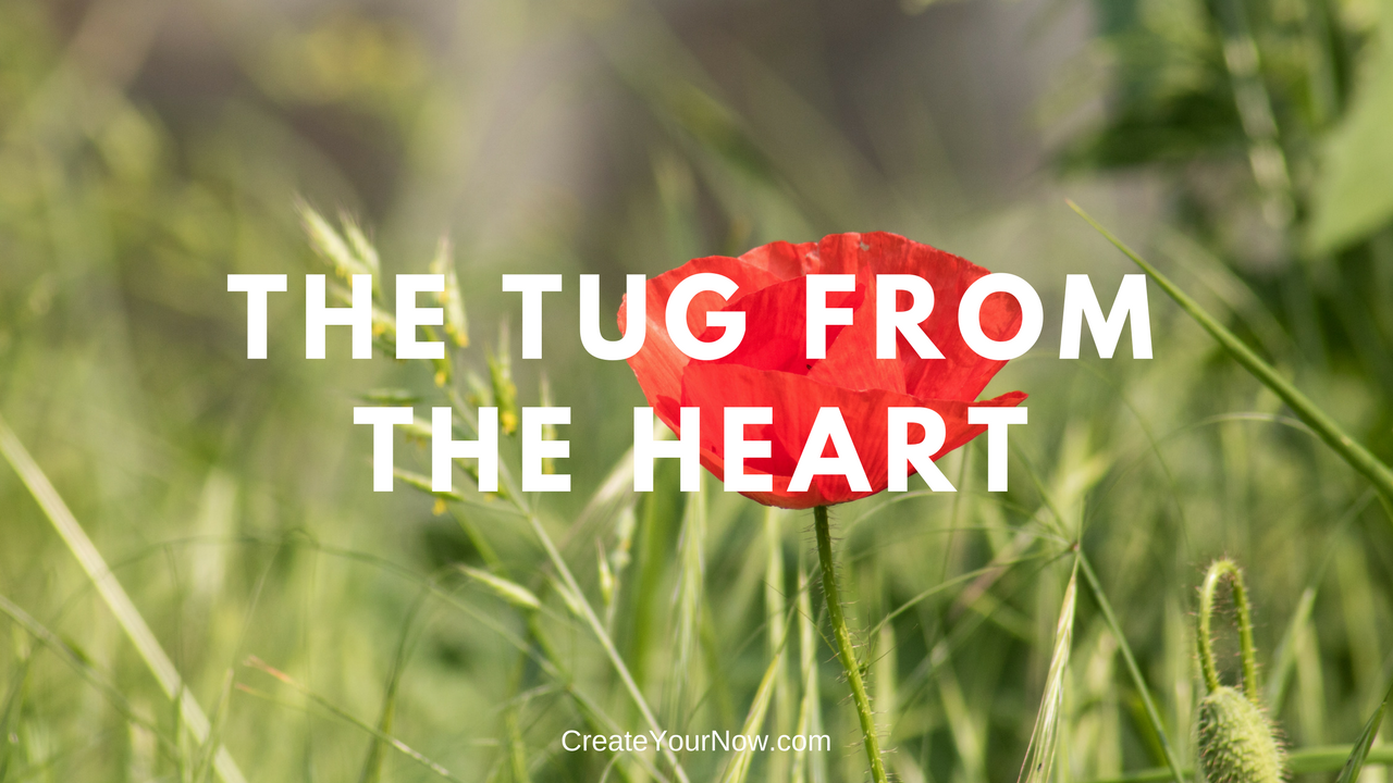 1212 The Tug from the Heart