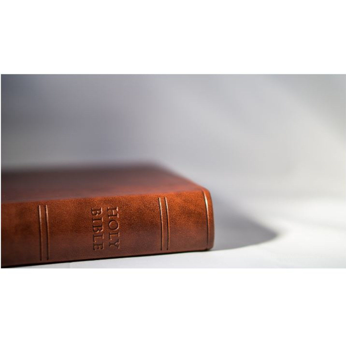 Does Evolution Allow the Supernatural?