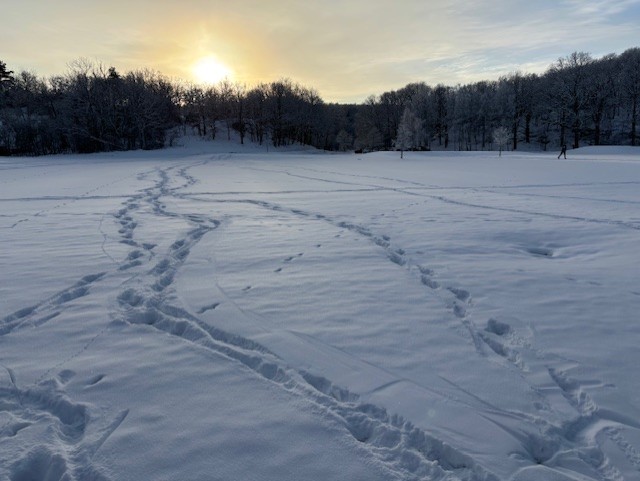 448. En glädje fyller mitt inre
