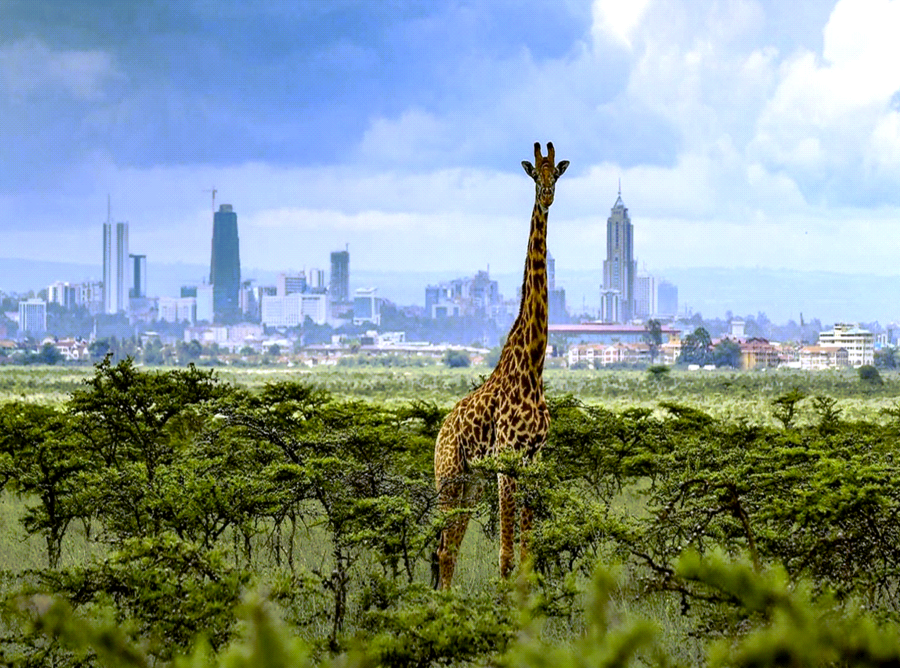 Adventure With Africa Kenya Safaris