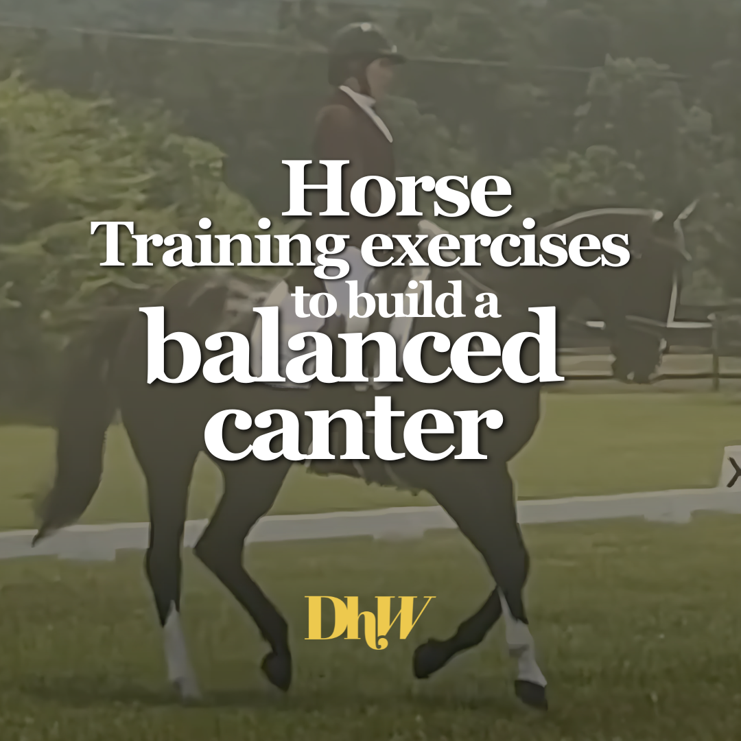 Dear Horse World