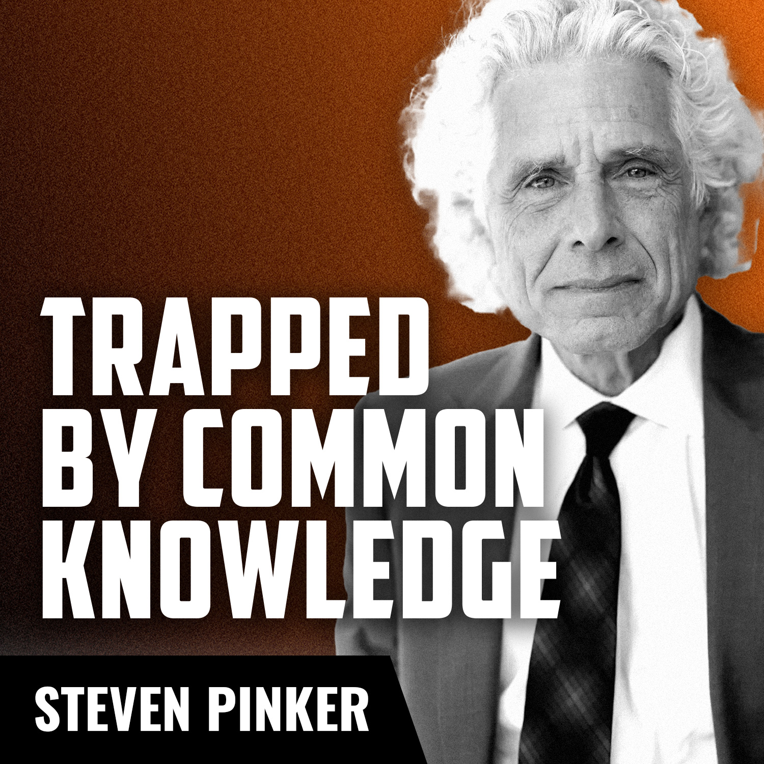 DR. STEVEN PINKER | How Common Knowledge Hurts and Helps Us