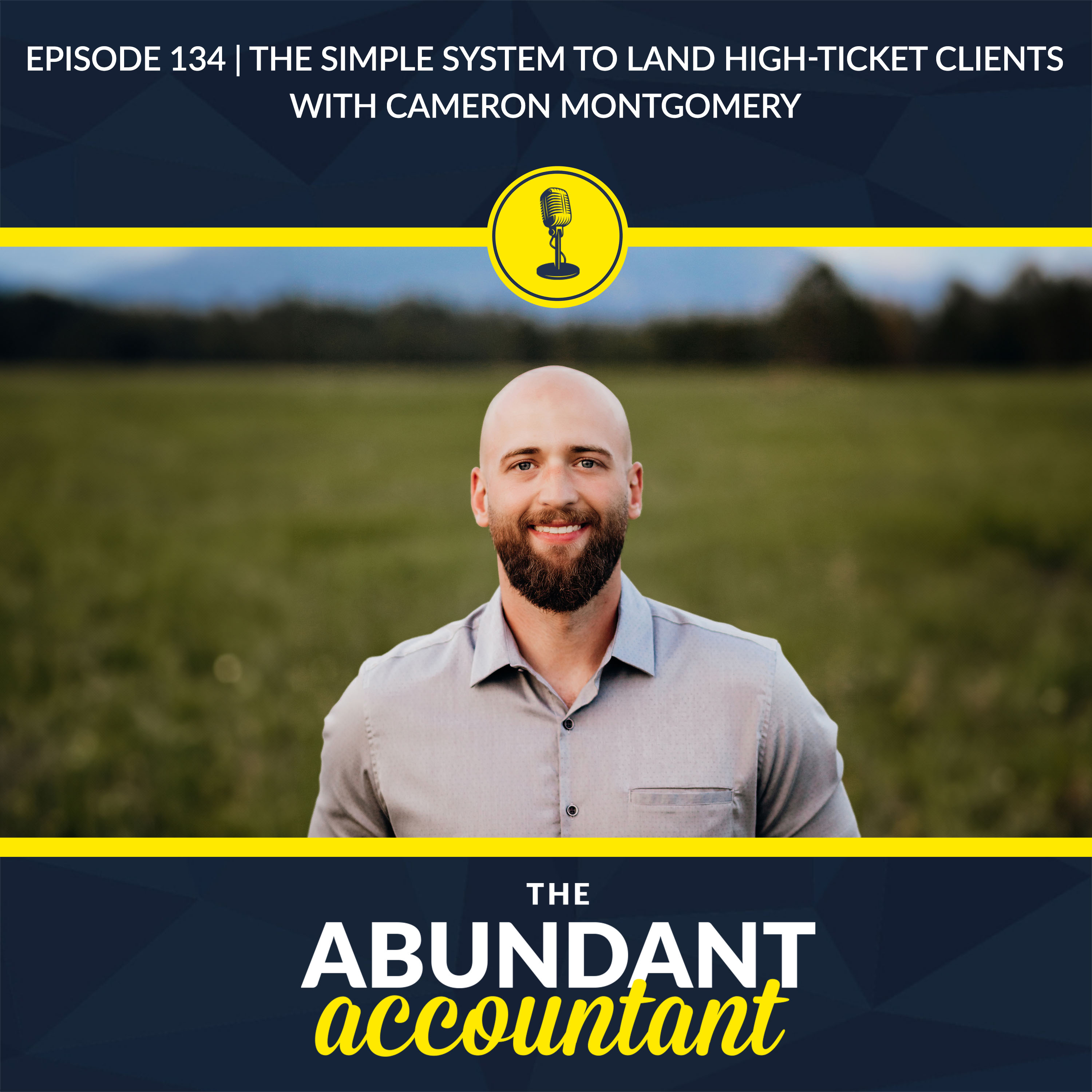 The Abundant Accountant: Leads, Sales & Business Growth for Accounting, Tax and Bookkeeping Professionals