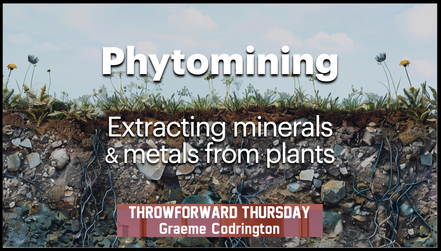 ThrowForward Thursday 145: Phytomining (extracting minerals and metals from plants)