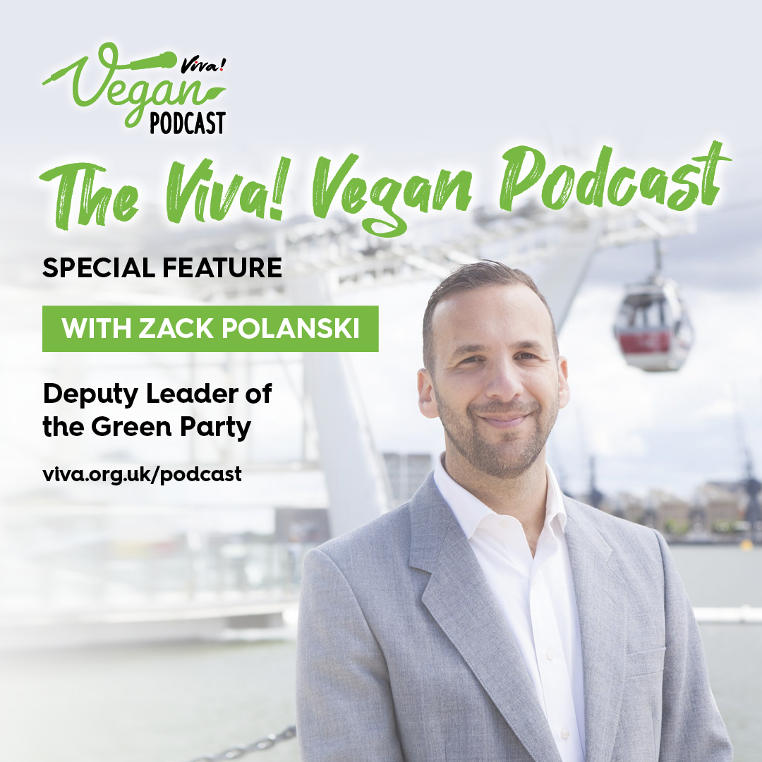 Viva! Vegan Podcast