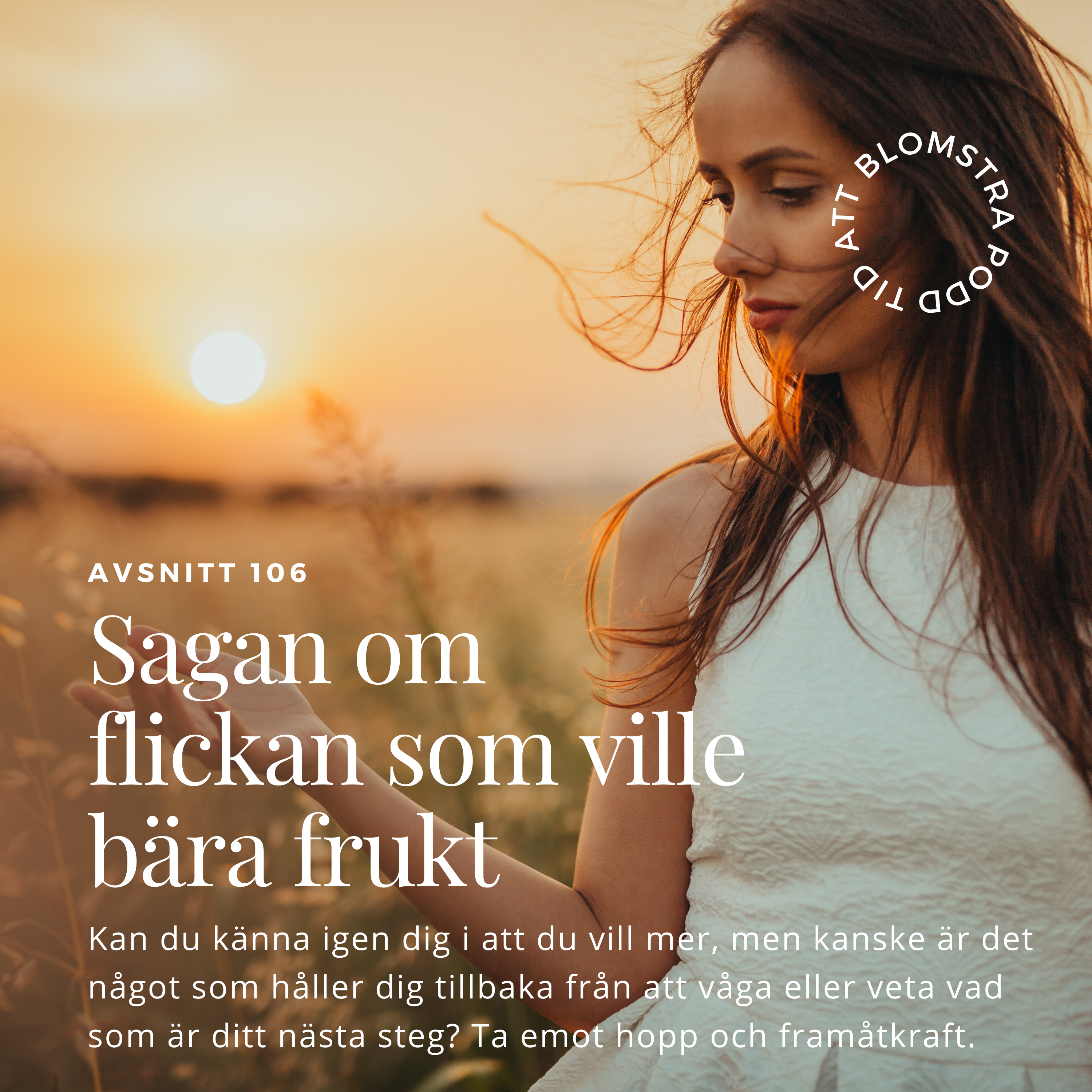 MOMENTUM – vision till verklighet, transformerande ledarskap och frihetsföretagande