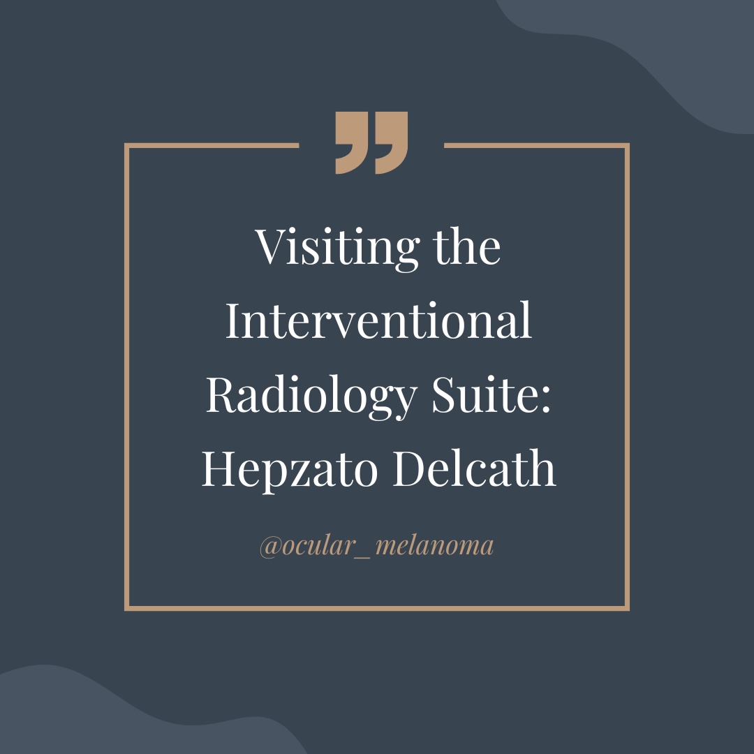 Visiting the Interventional Radiology Suite: Hepzato Delcath