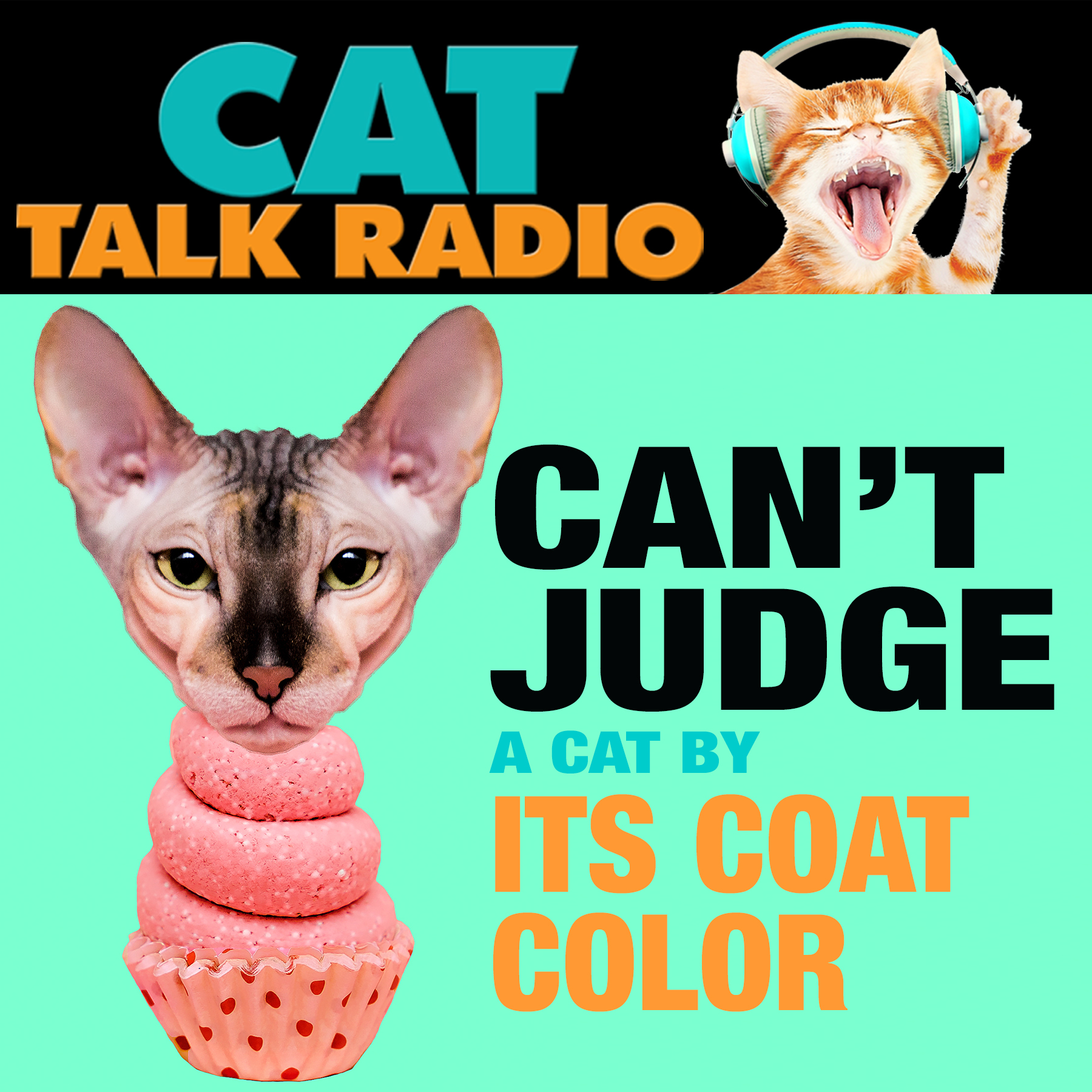 You Can't Judge a Cat By Its Color…or Can You?