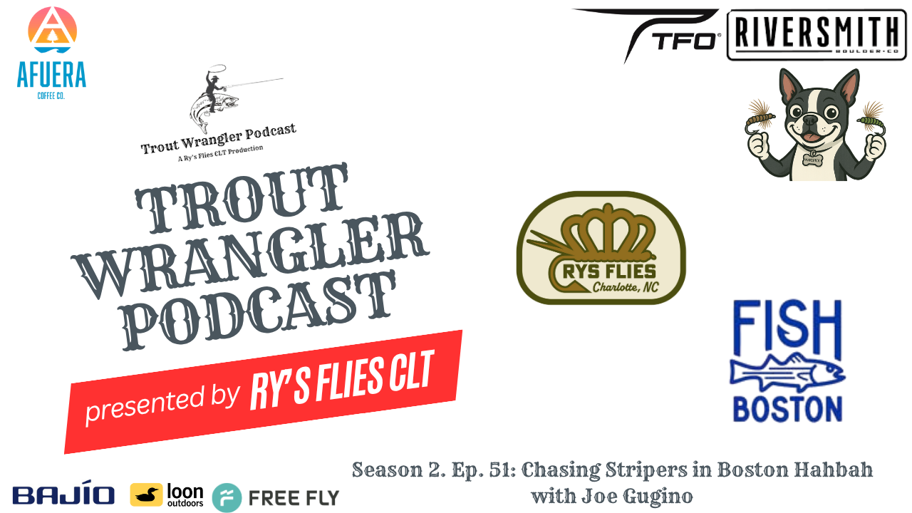 Trout Wrangler Podcast Season 2. Ep. 51: Chasing Stripers in Boston Hahbah with Joe Gugino