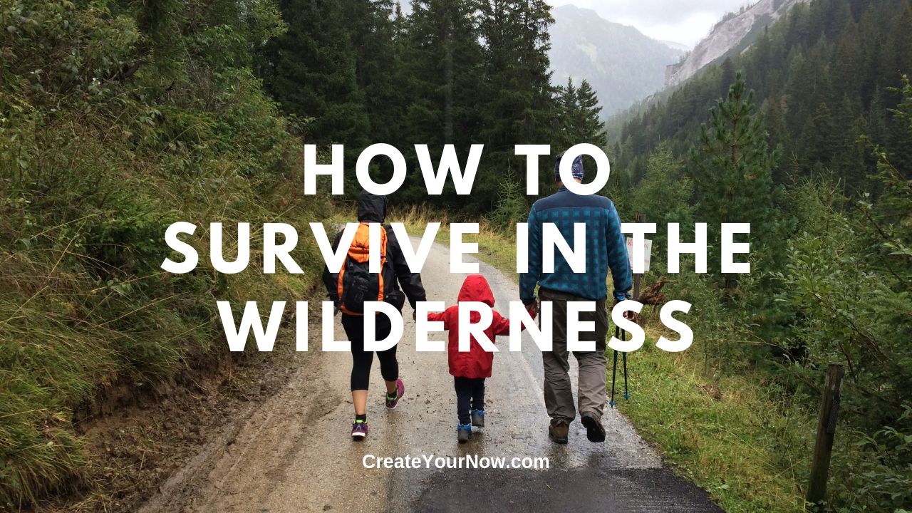 1525 How to Survive in the Wilderness