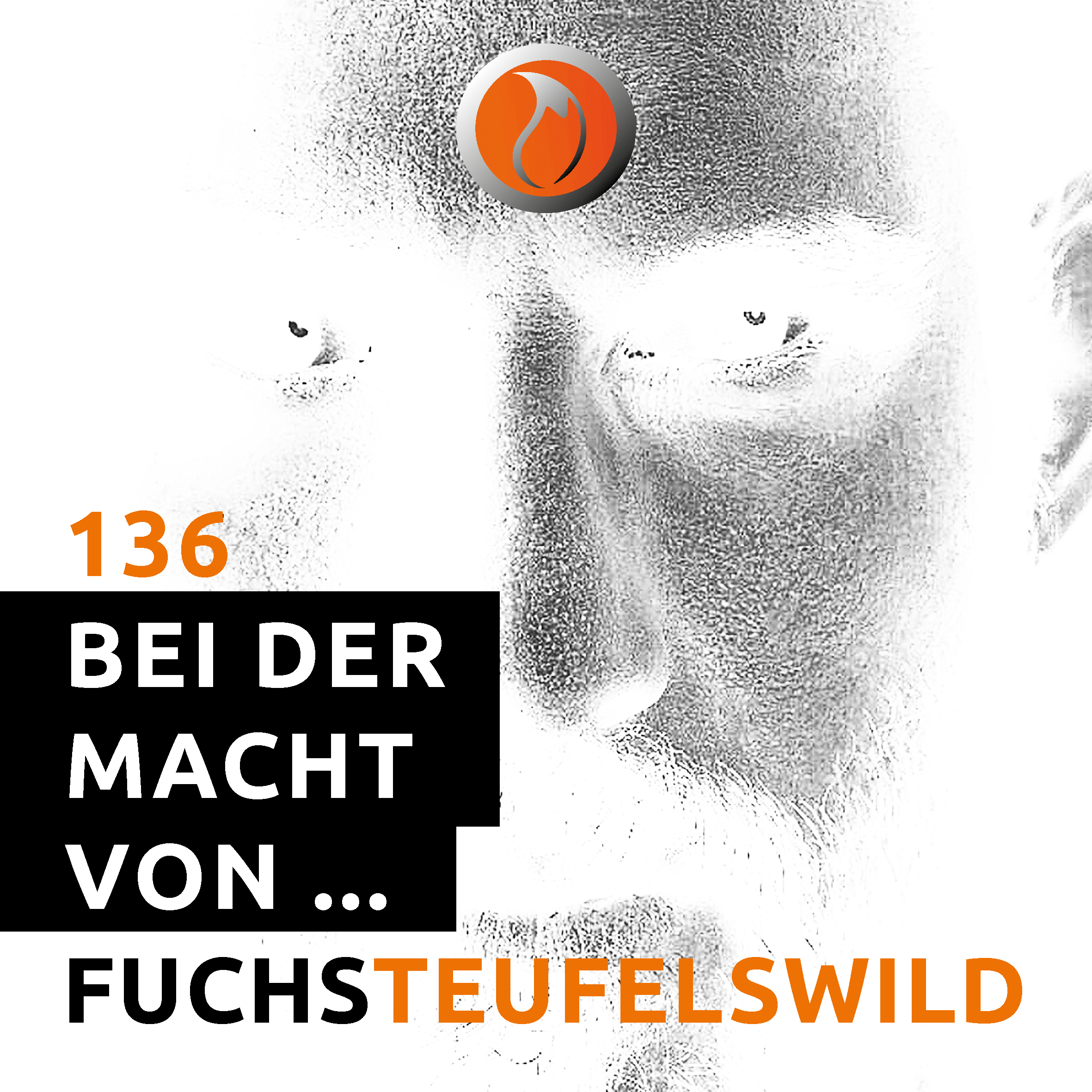 DU VERDIENST MEHR /  STF 5 / FUCHSTEUFELSWILD