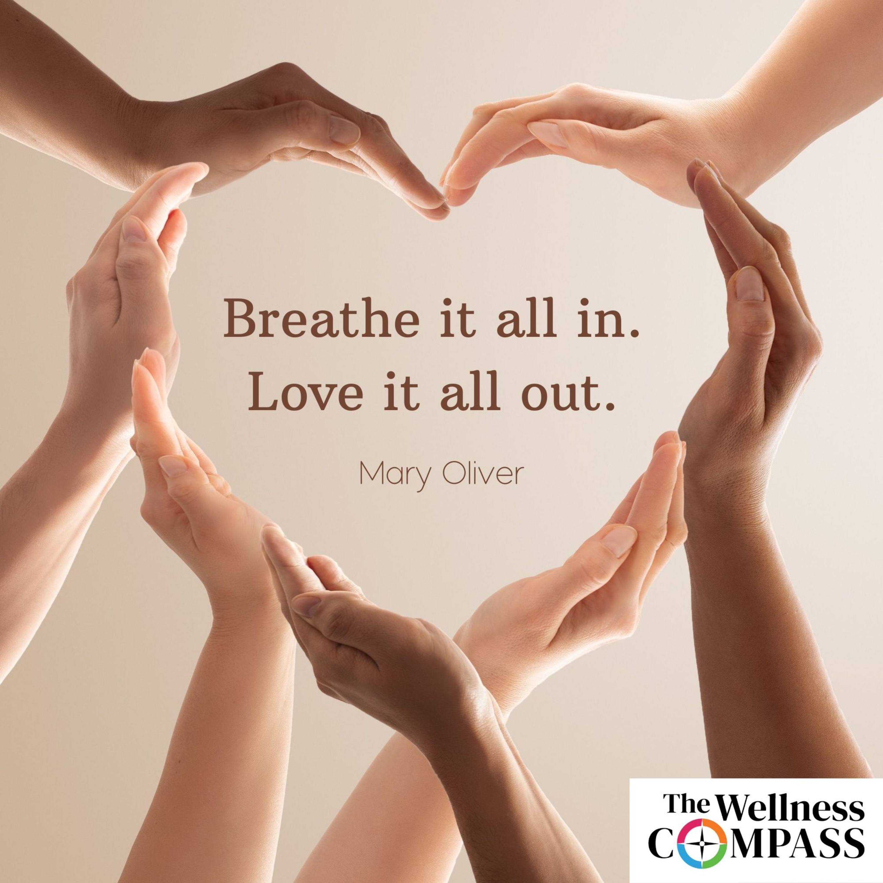 The Wellness Compass Podcast