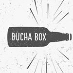 Kombucha Dr. Misha / Misha Rastrera - Lima, Peru Kombucha Dr. Misha / Misha Rastrera - Lima, Peru