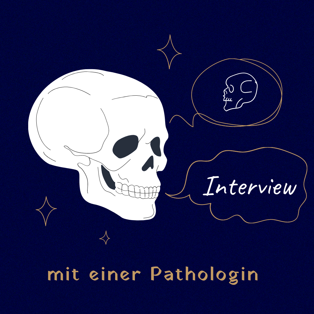 Wunderwelt Körper