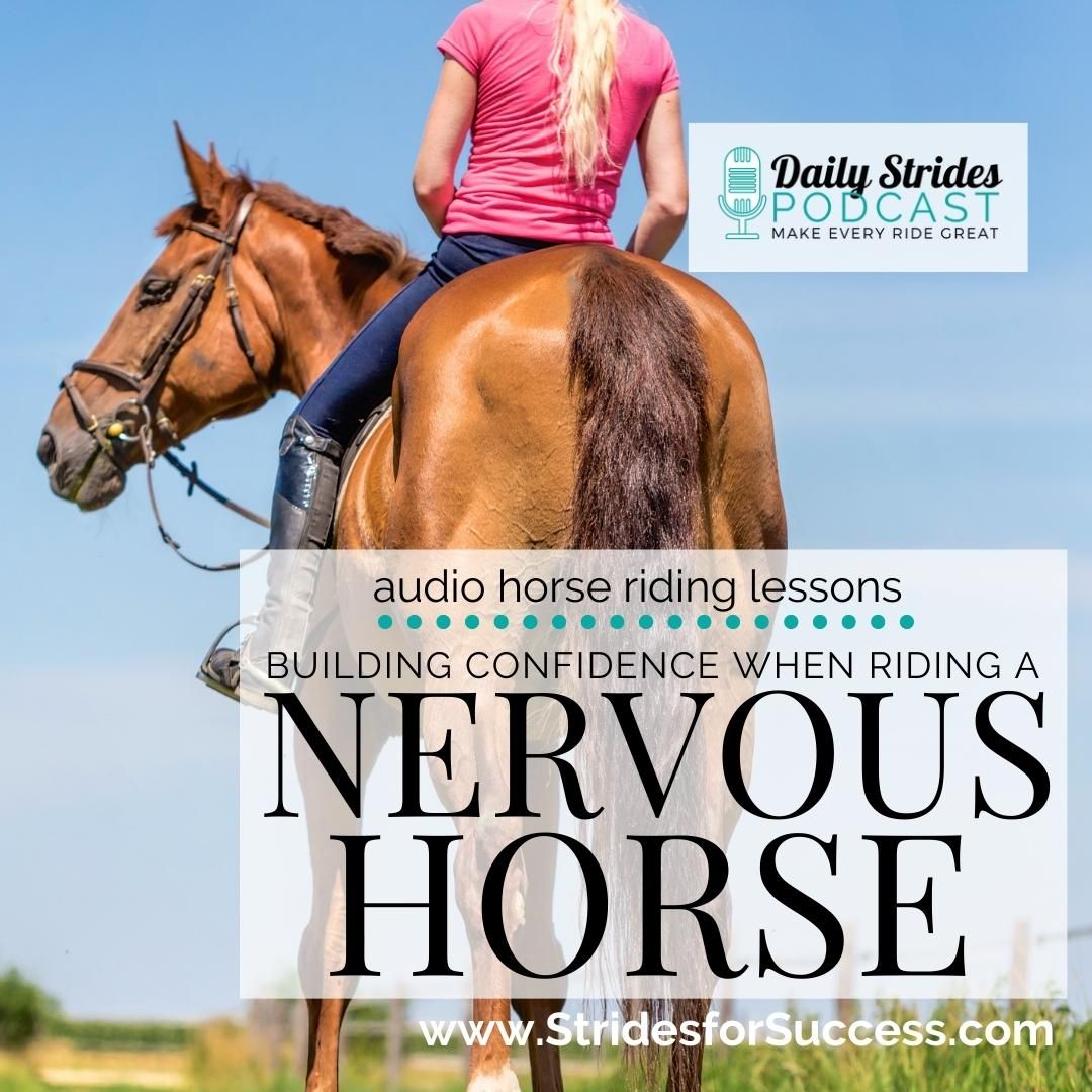 Building Confidence When Riding a Nervous Horse