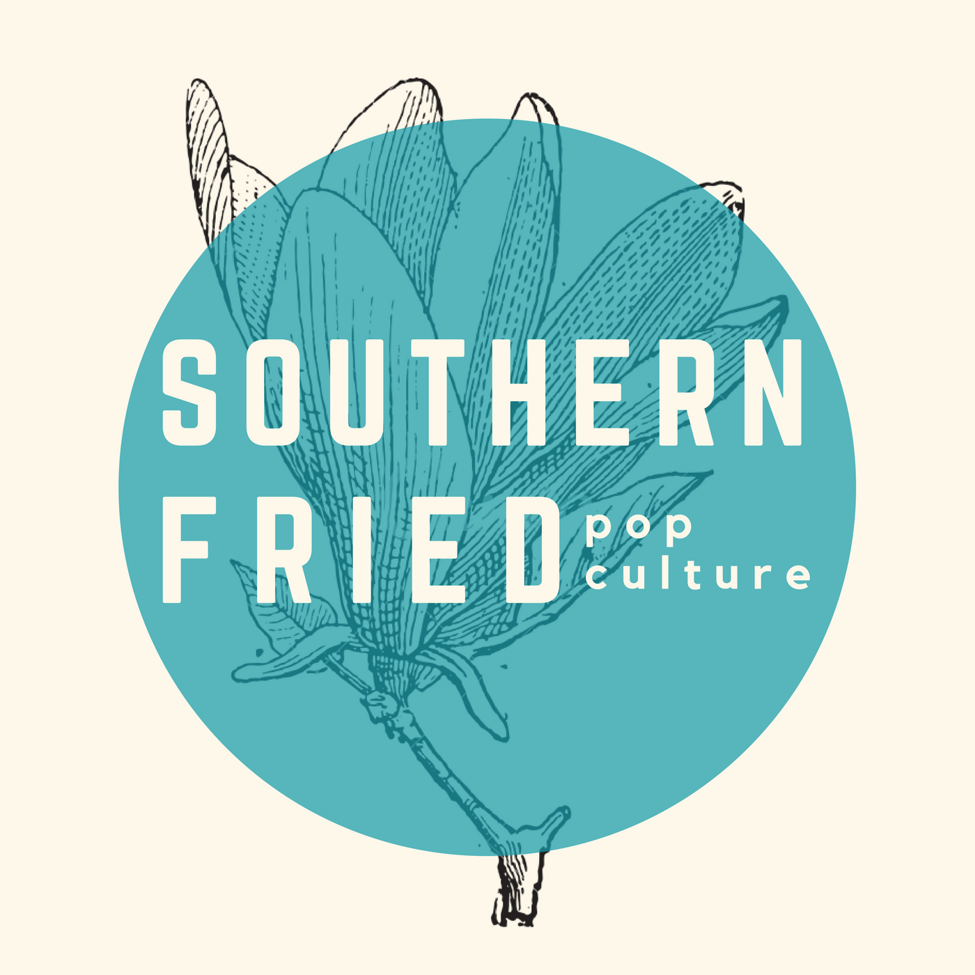 Southern Fried Pop Culture Theme Song (Bonus)