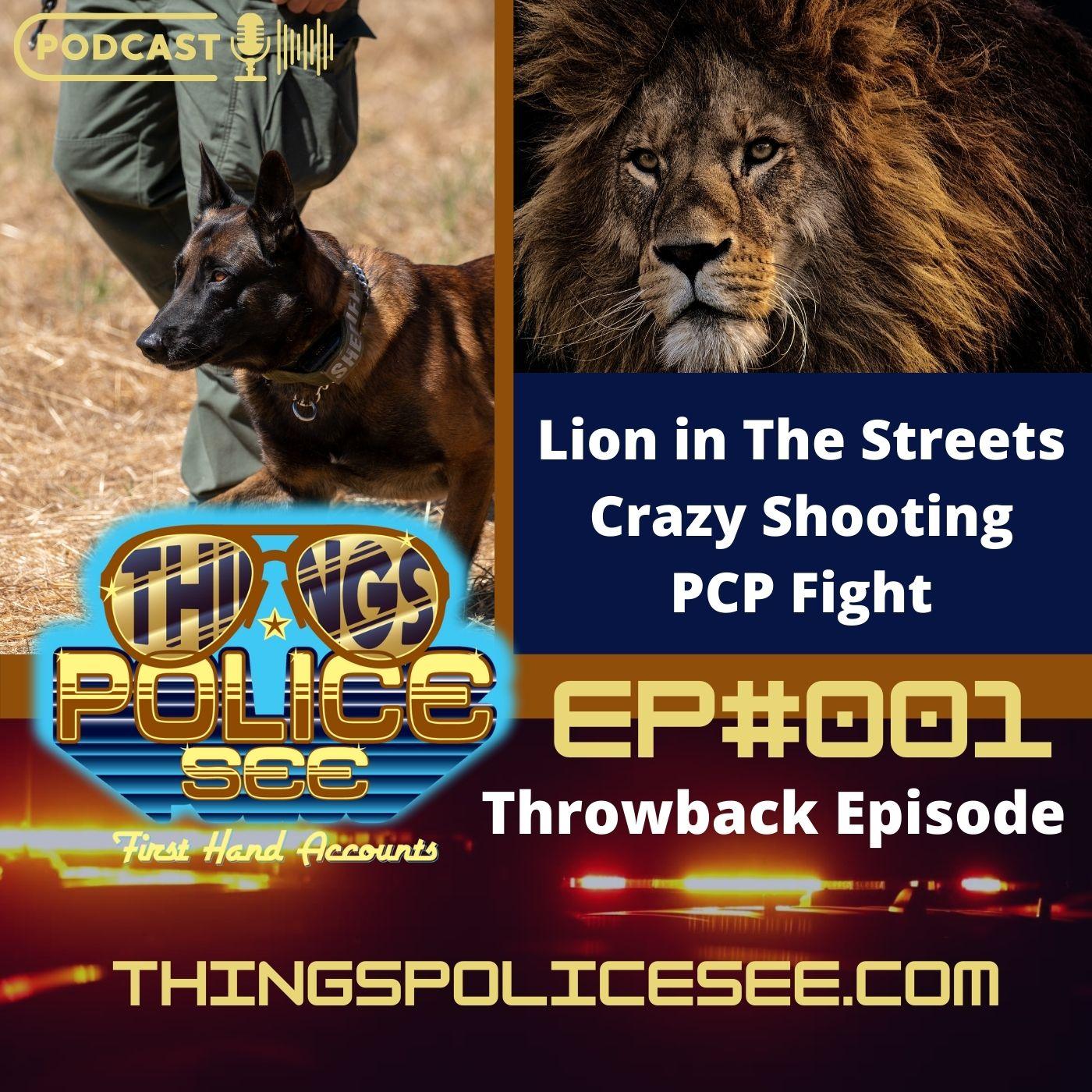 Things Police See: Firsthand Accounts