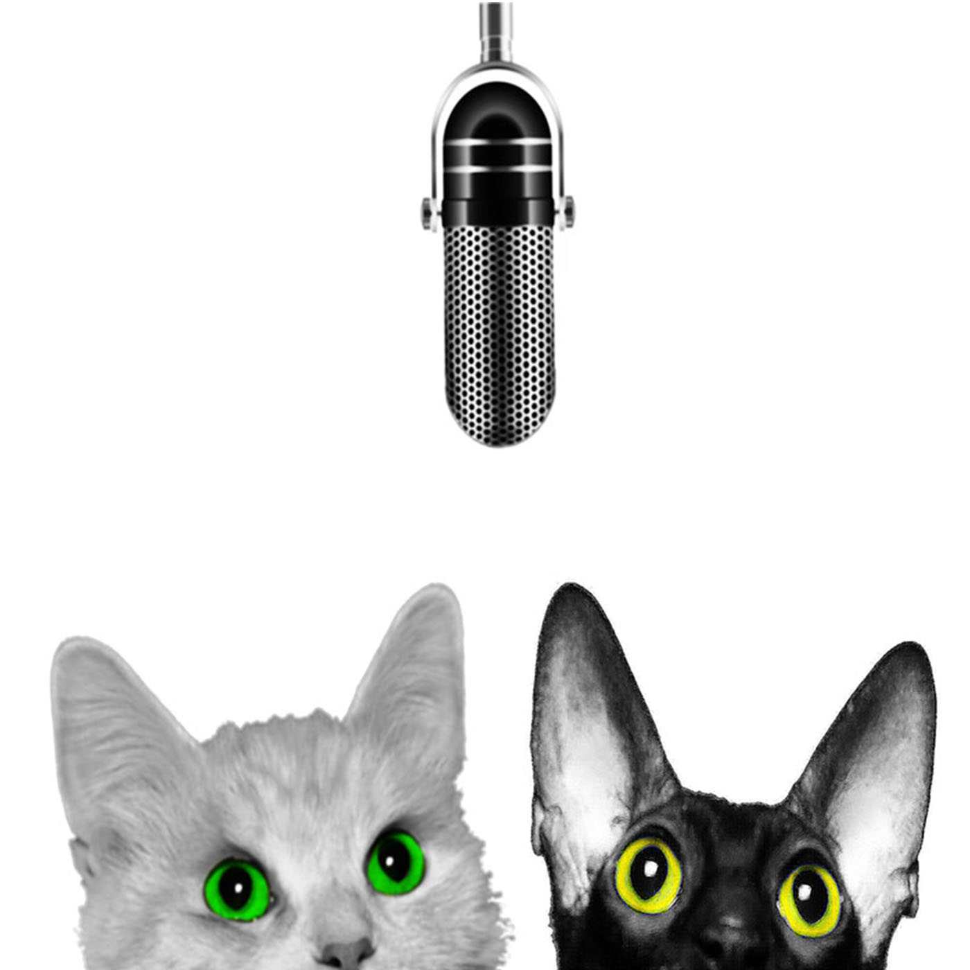 Kattvent & säsongsavslutning Kattvent & säsongsavslutning