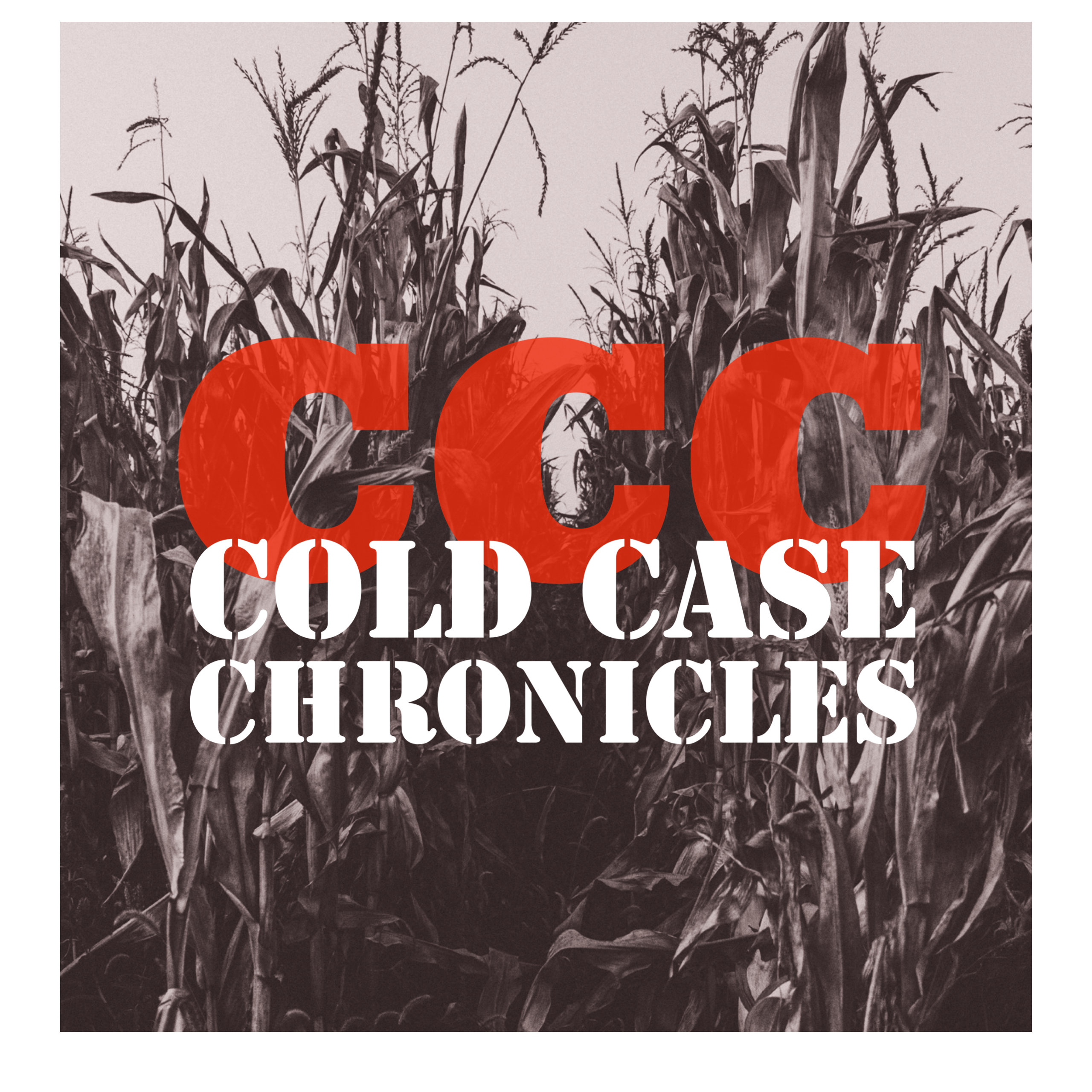 Cold Case Chronicles