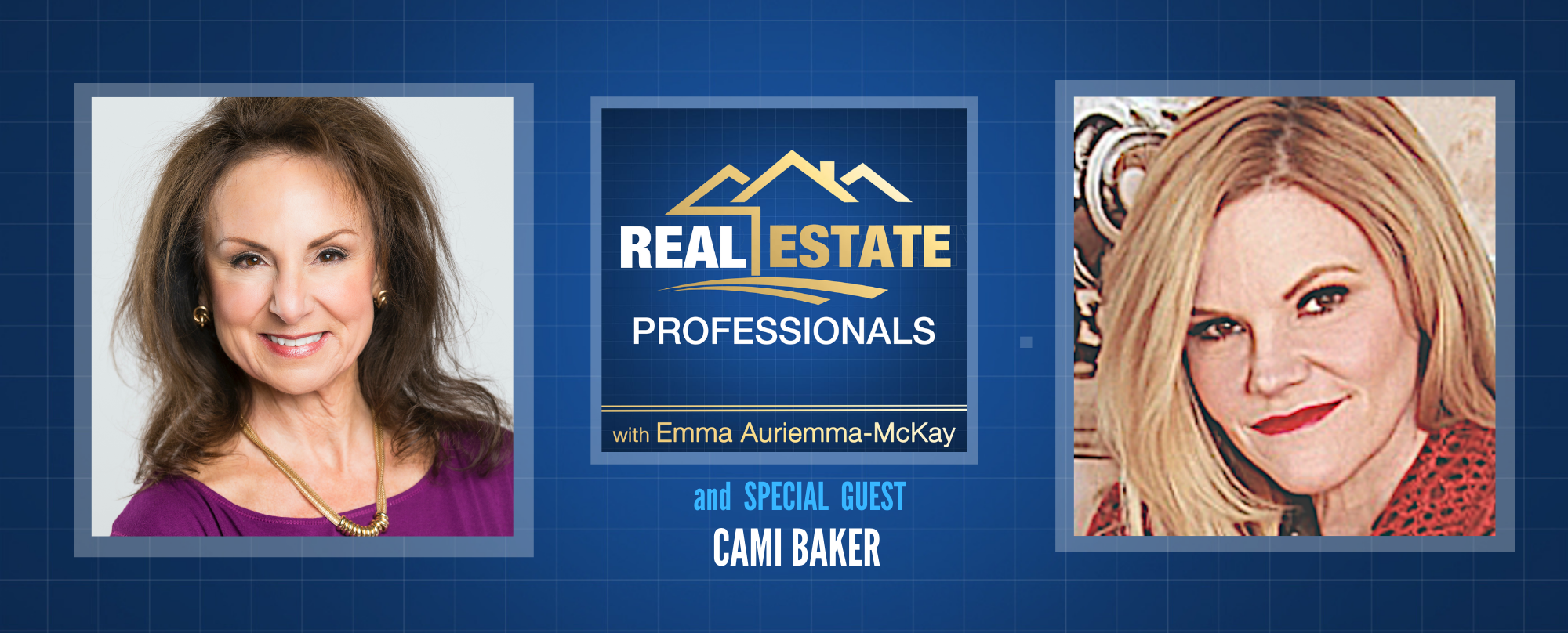 Real Estate Professionals - Property Sales Tactics for Realtors