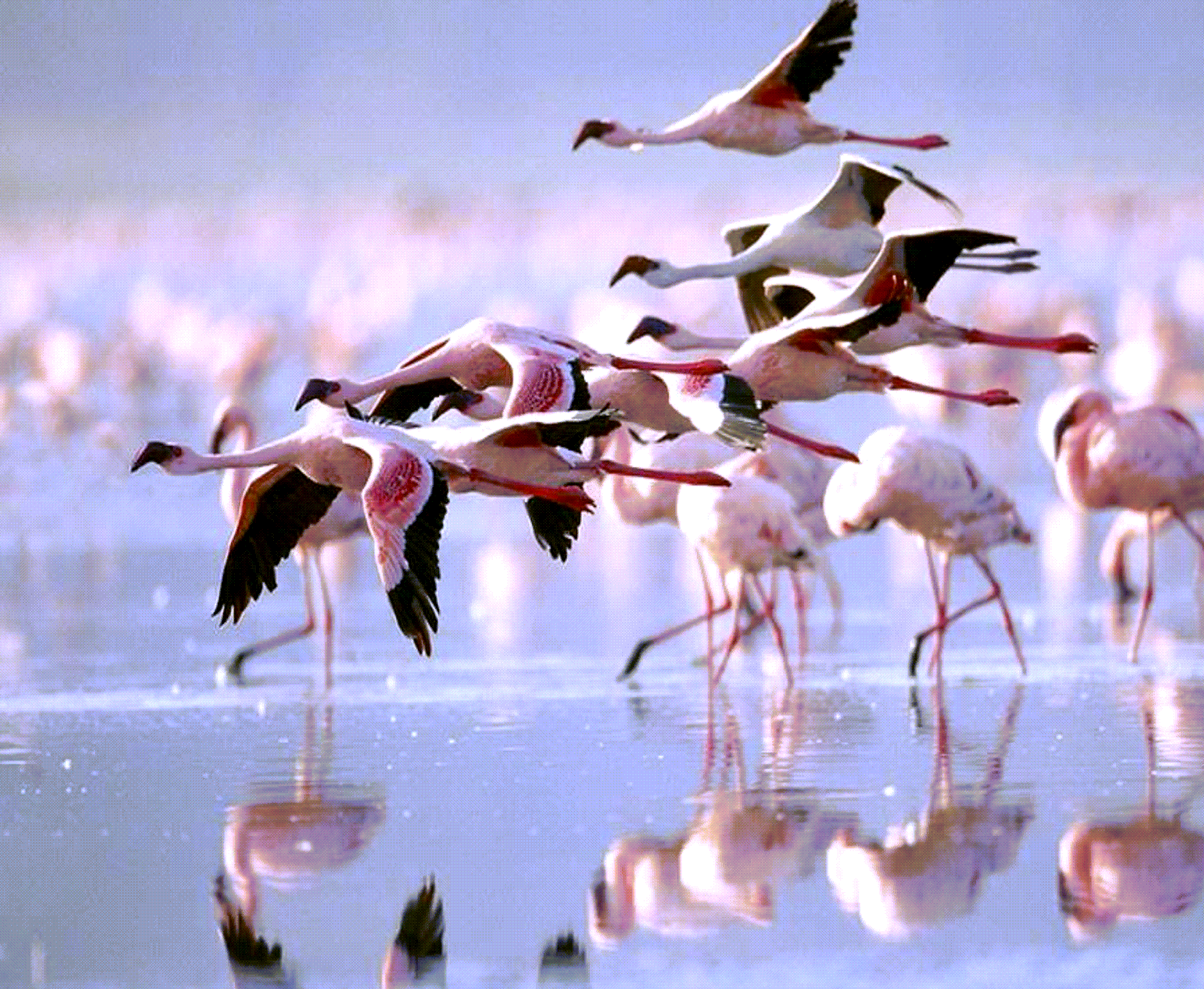 Adventure With Africa Kenya Safaris