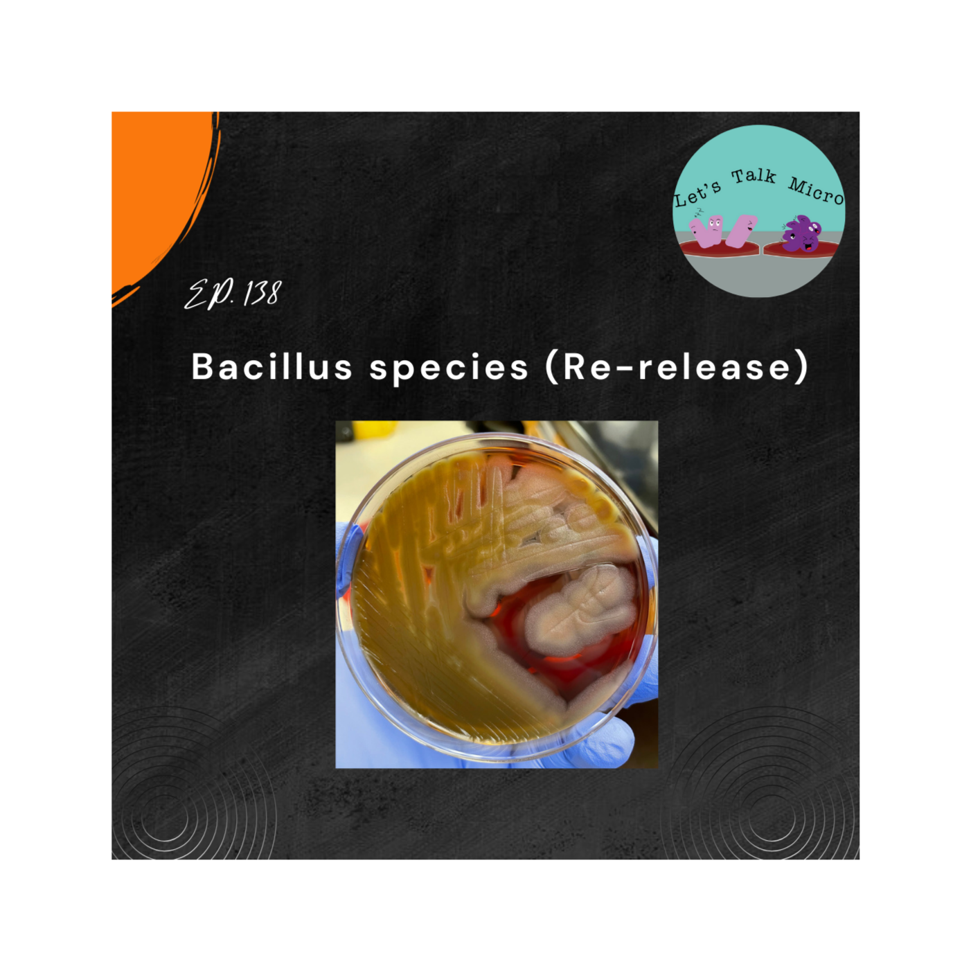 138: Bacillus species