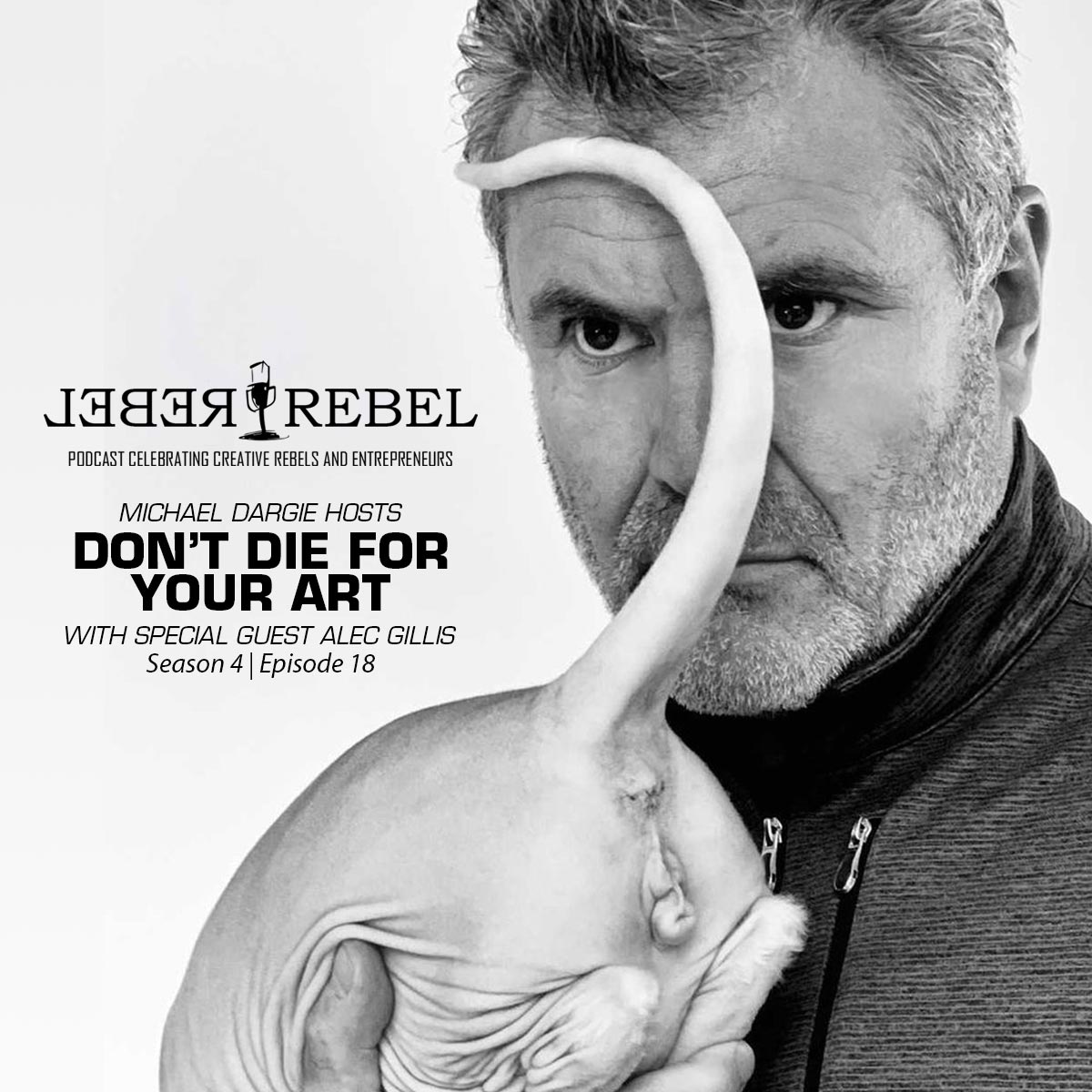 The RebelRebel Podcast