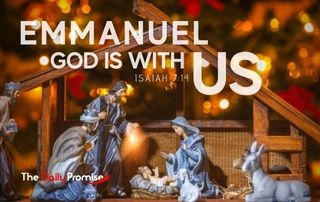 The Daily Promise