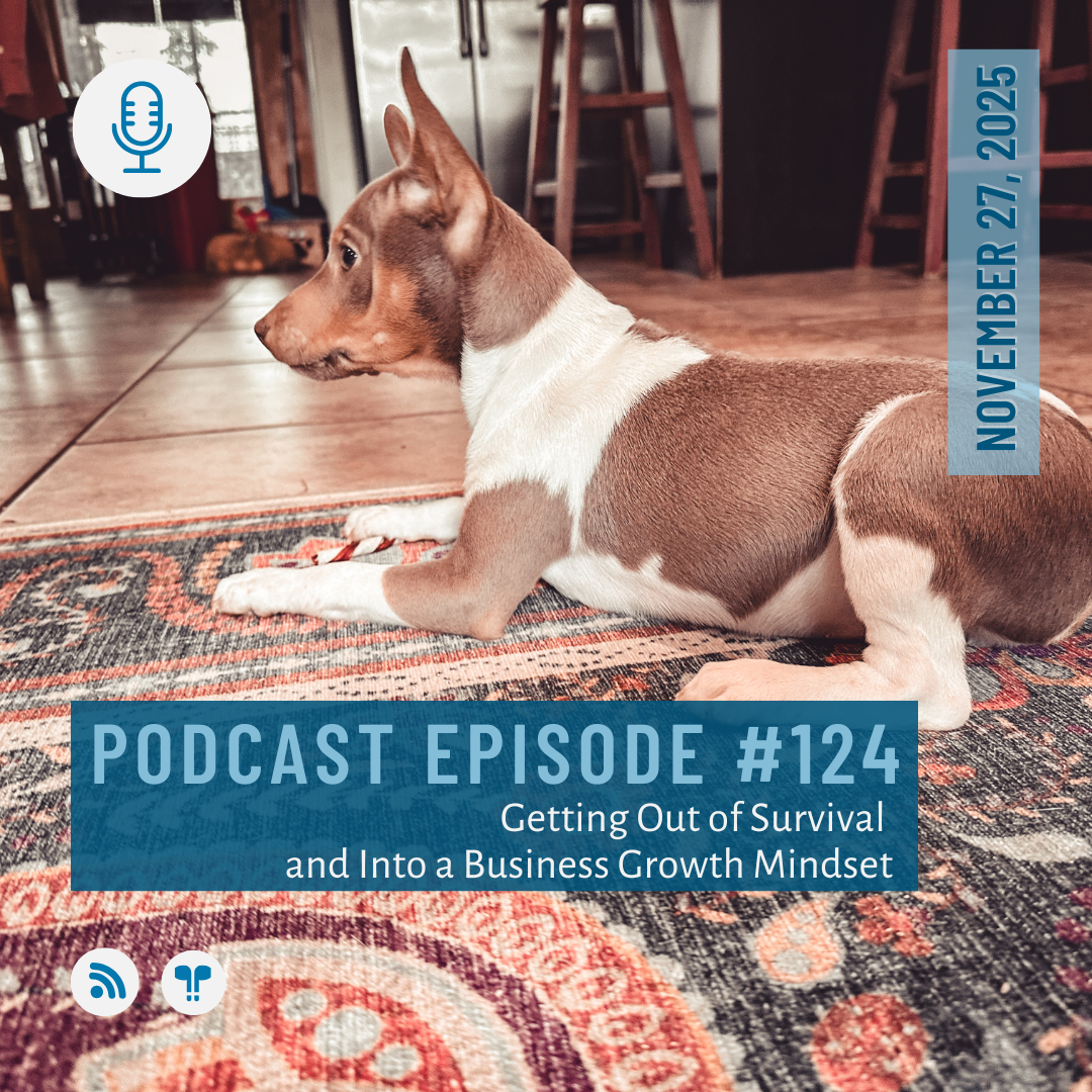 #124 - Getting Out of Survival and Into a Business Growth Mindset