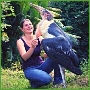 Animal Training Academy: Making Ripples