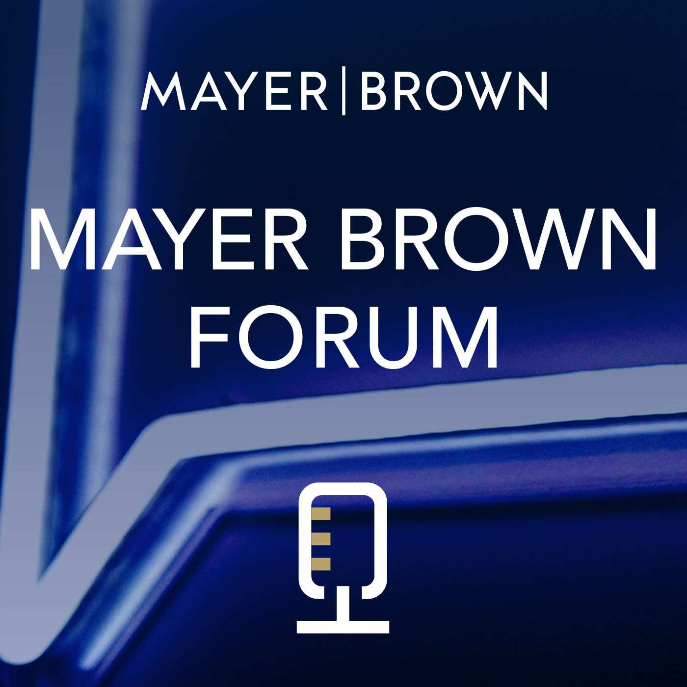 Mayer Brown Forum: A Law Firm Community