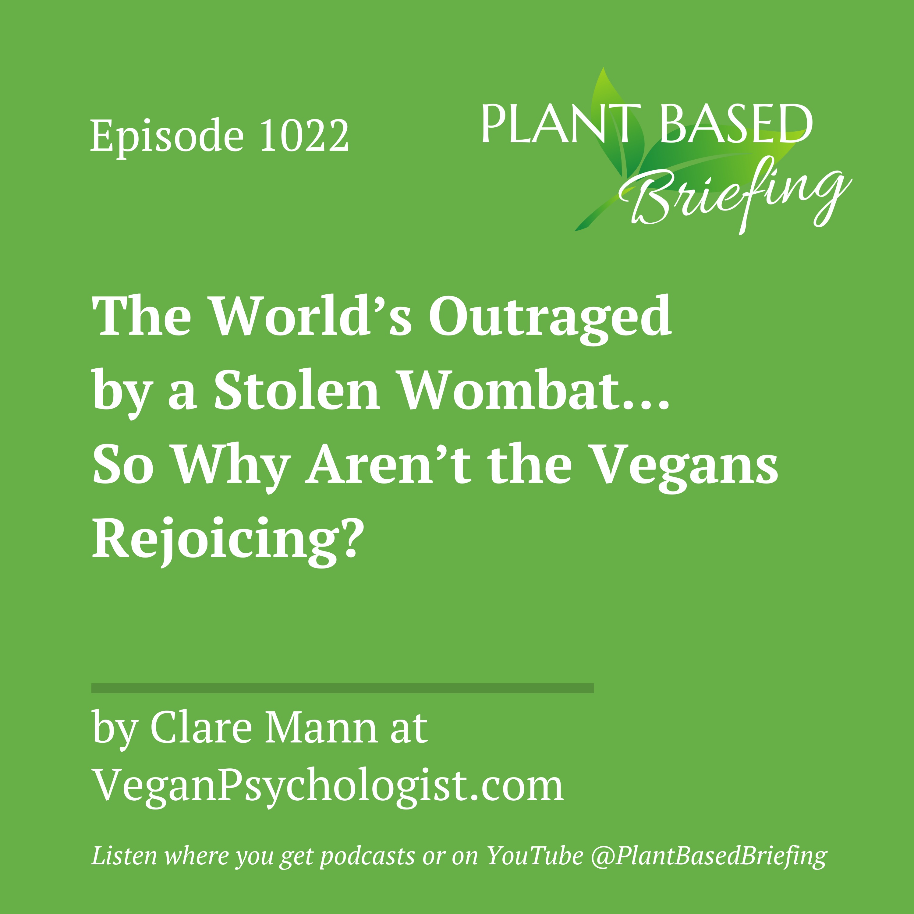 1022: The World’s Outraged by a Stolen Wombat… So Why Aren’t the Vegans Rejoicing? by Clare Mann at VeganPsychologist.com