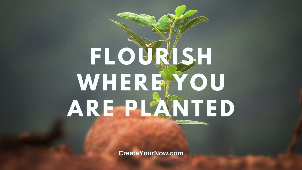 1891 Flourish Where You Are Planted