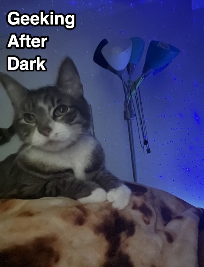 In Memoriam: Mongo Kitty