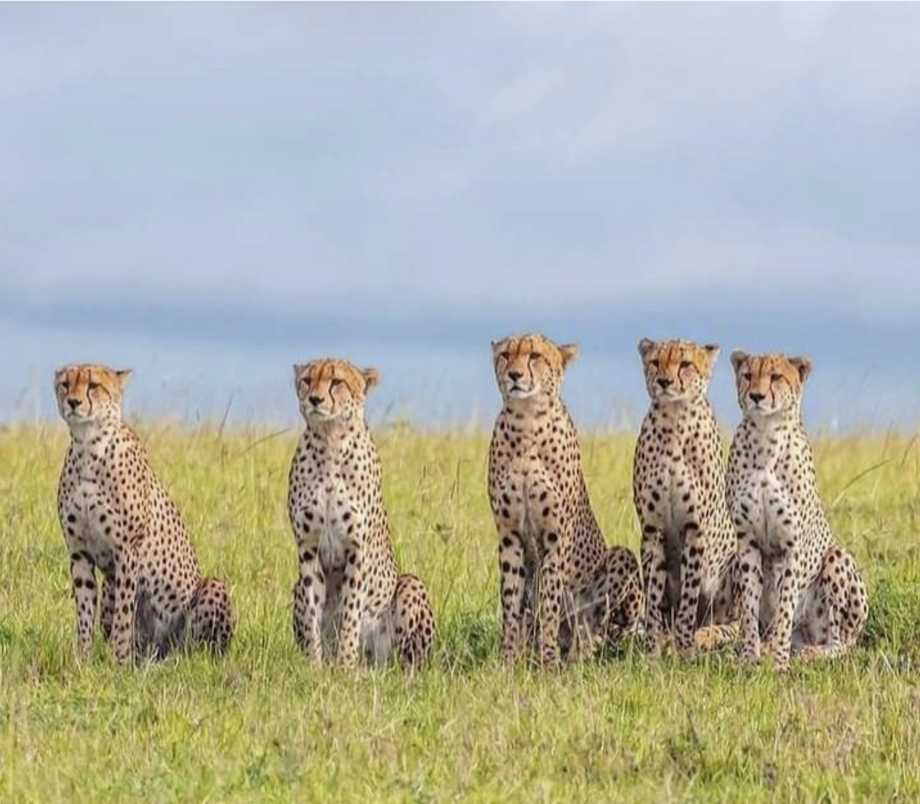 Adventure With Africa Kenya Safaris