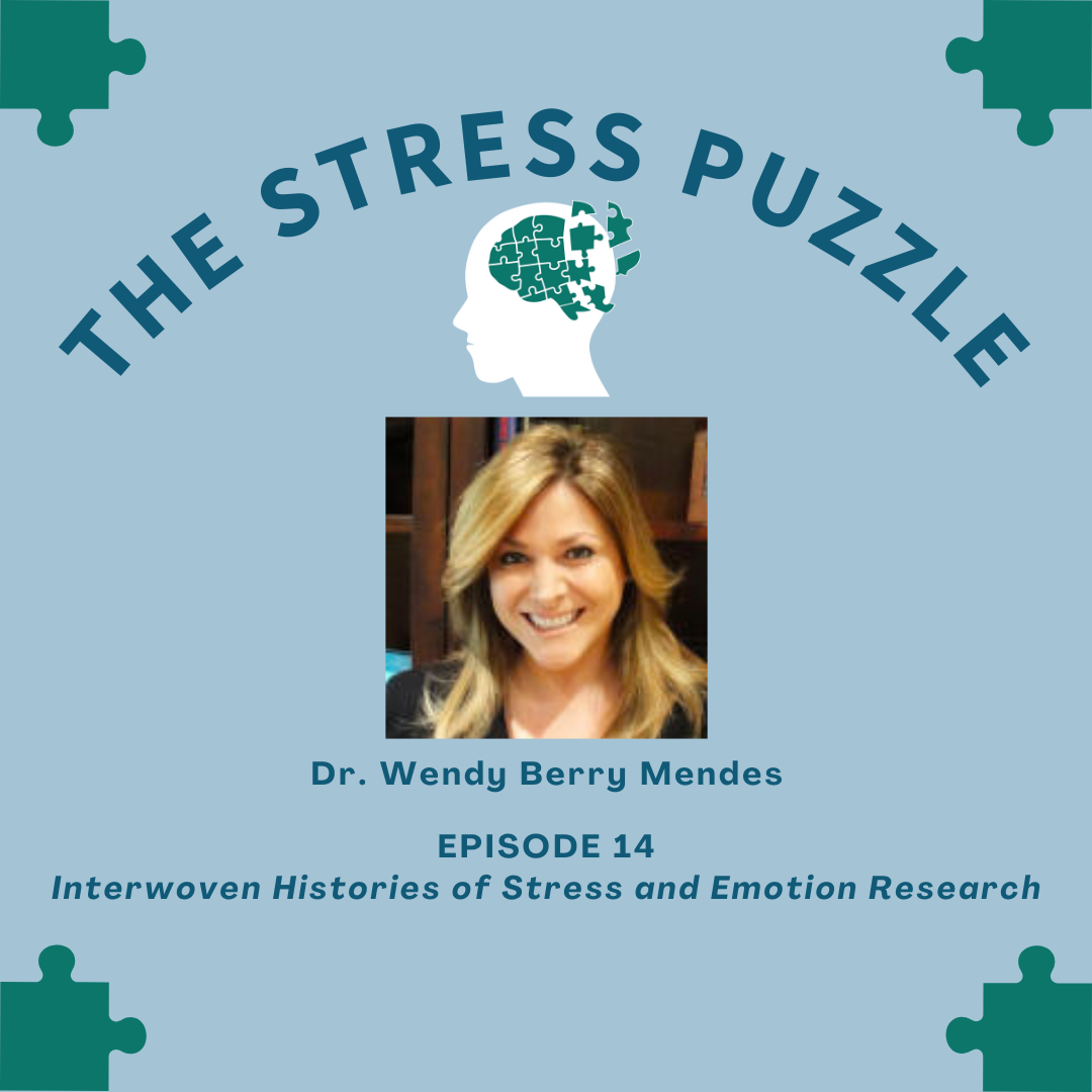 The Stress Puzzle