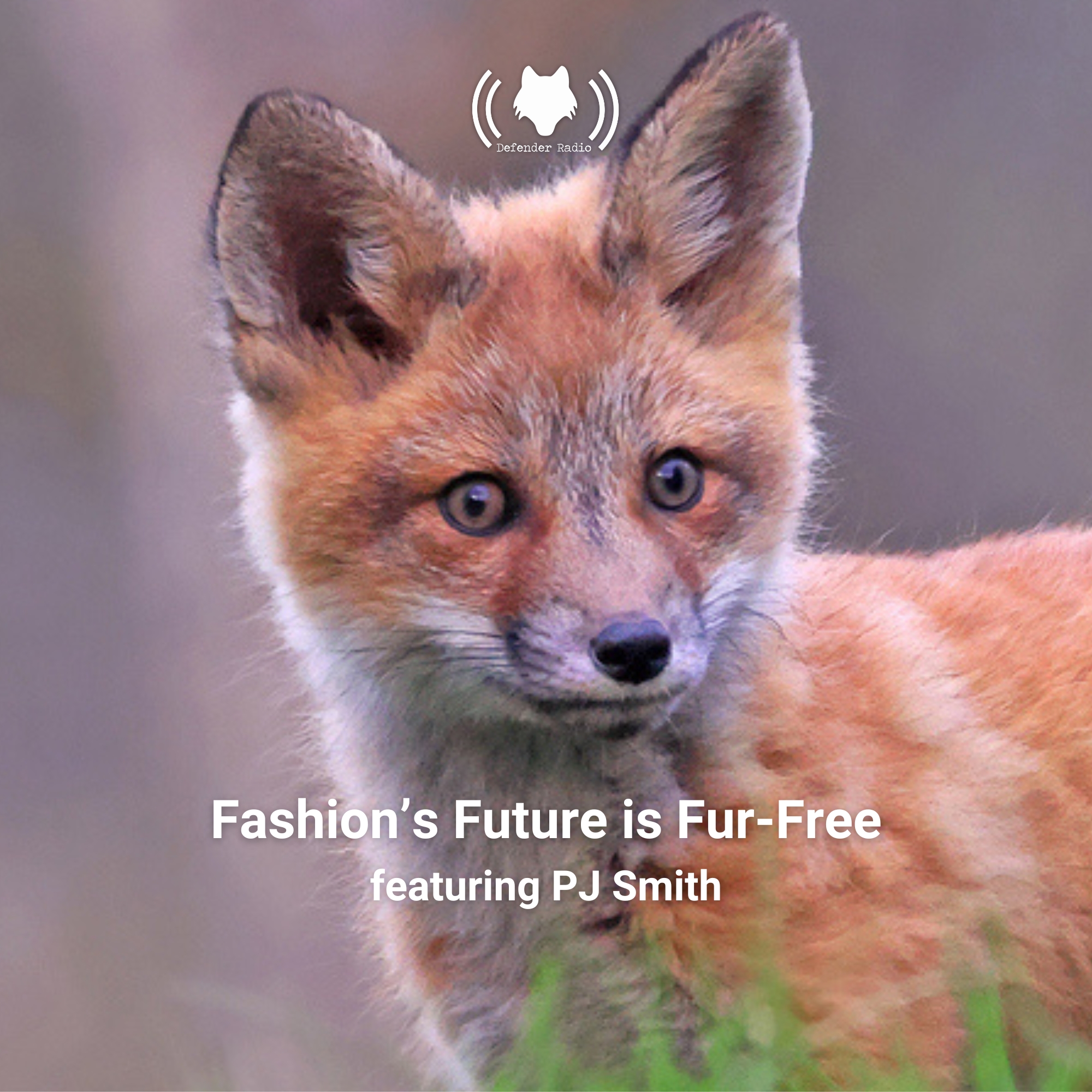 Fashion's Future is Fur-Free featuring PJ Smith