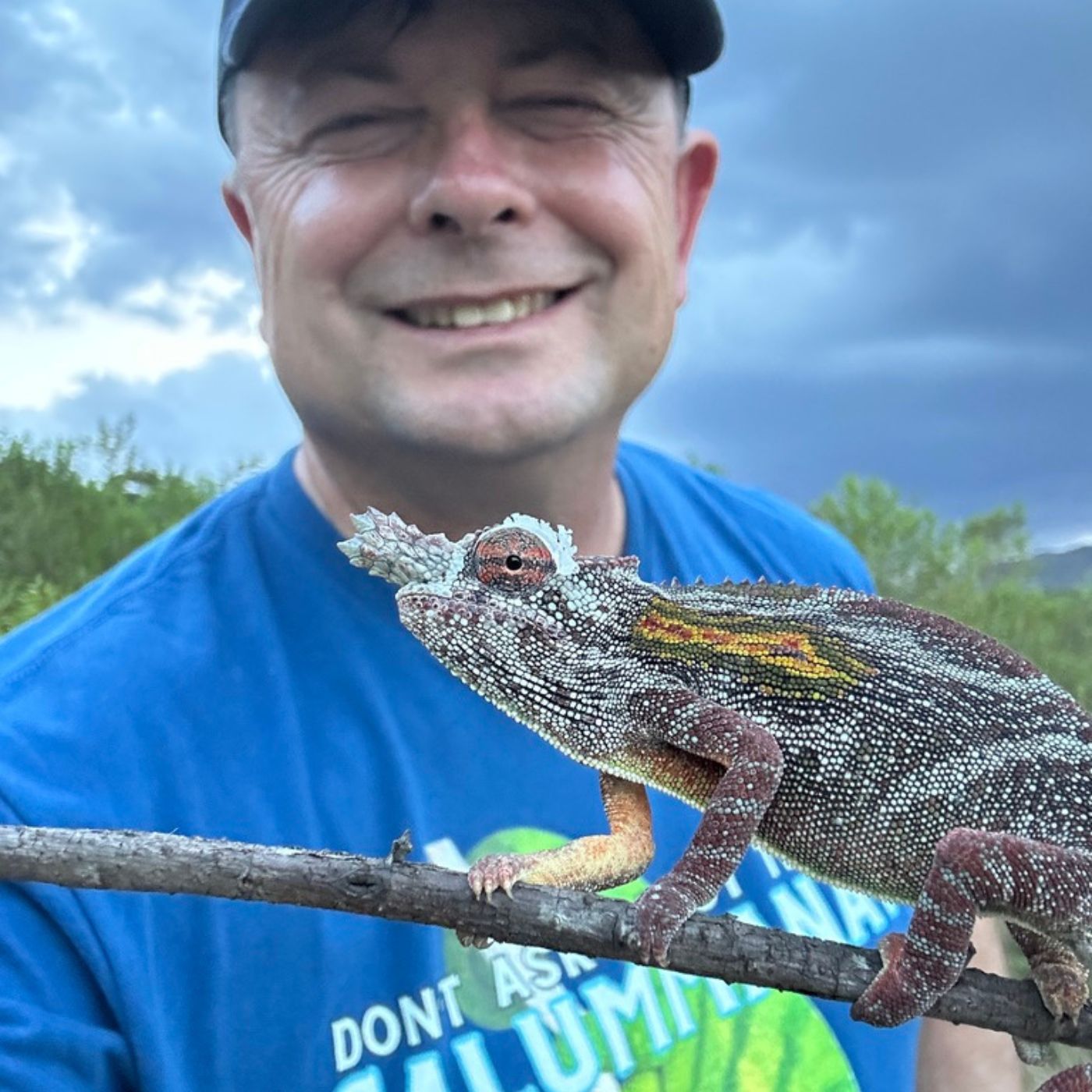Where to see wild chameleons