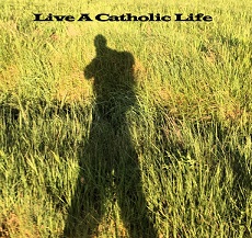 Live a Catholic Life, Train to be a saint