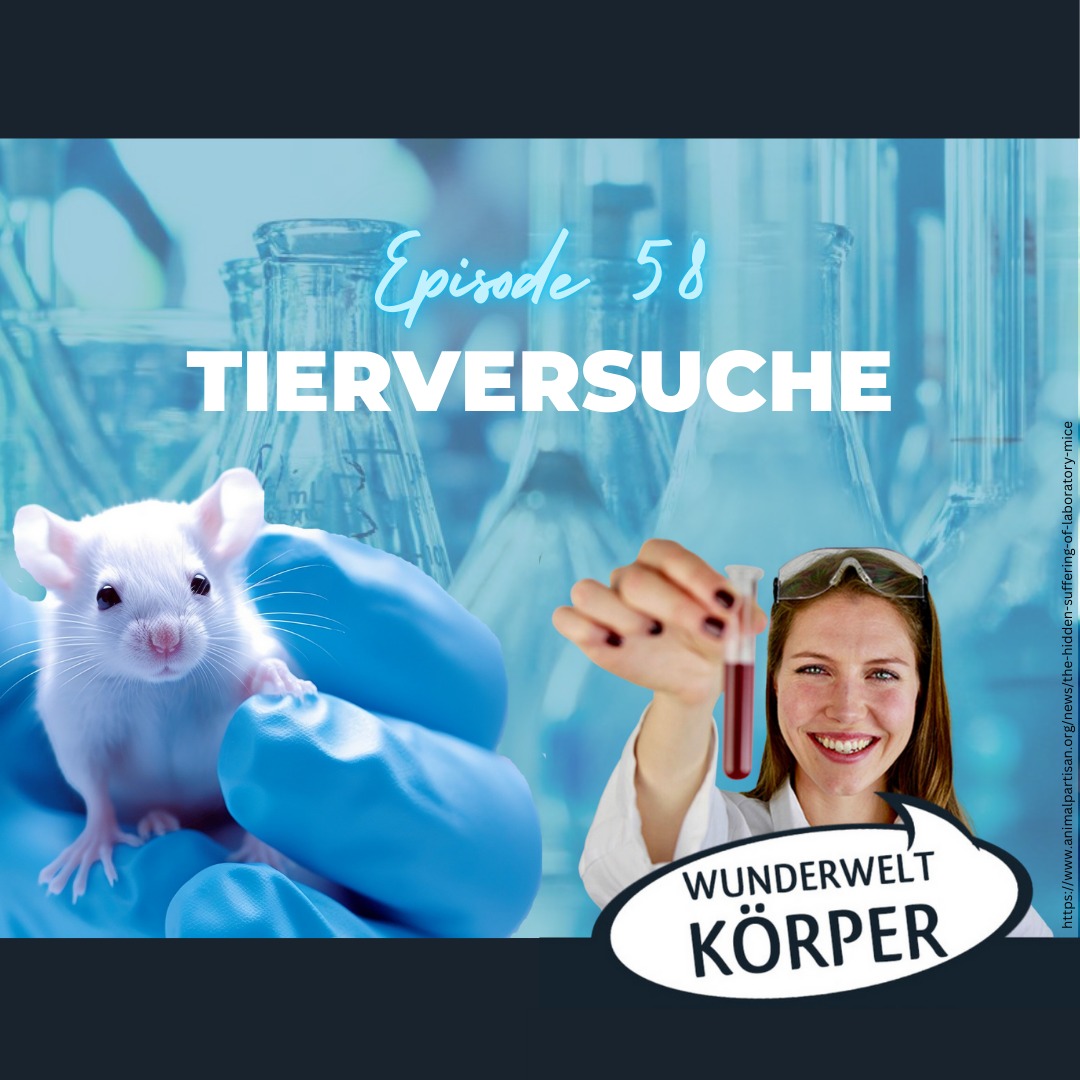 Wunderwelt Körper