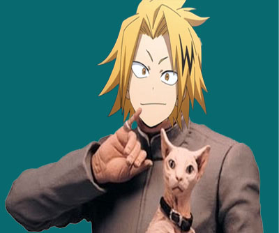 My Hero Academia Podcast